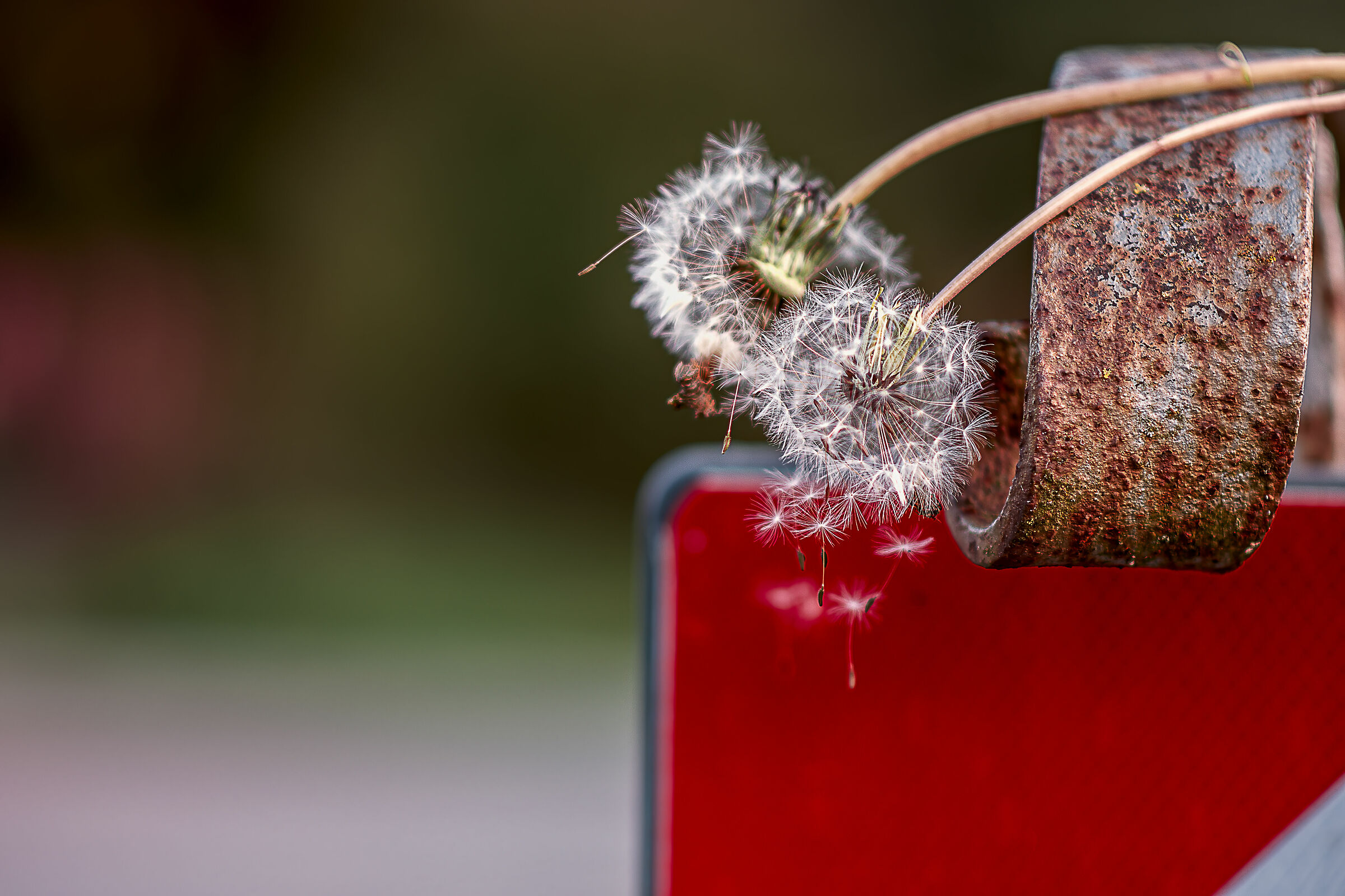 minimal street color