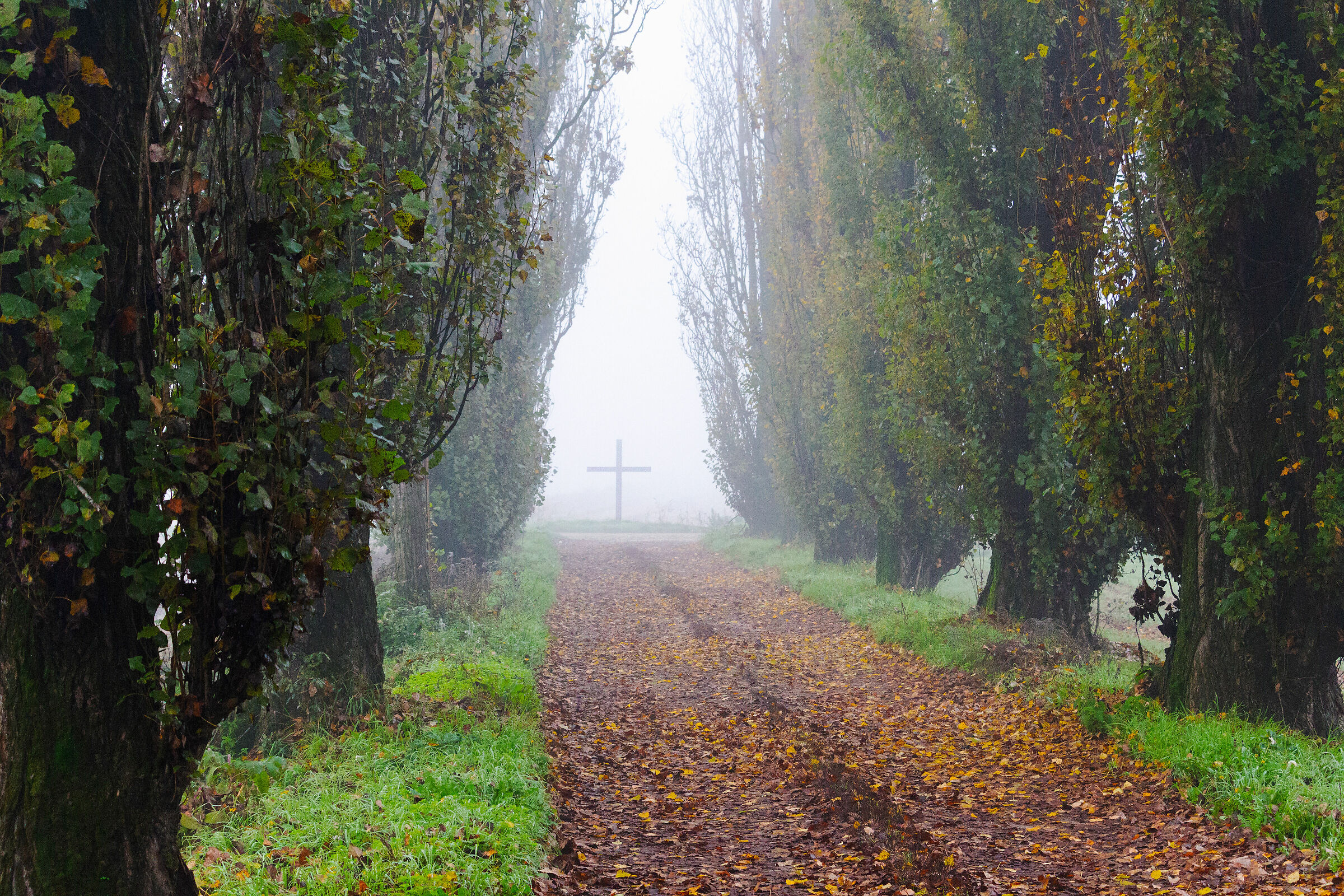 cross in the fog