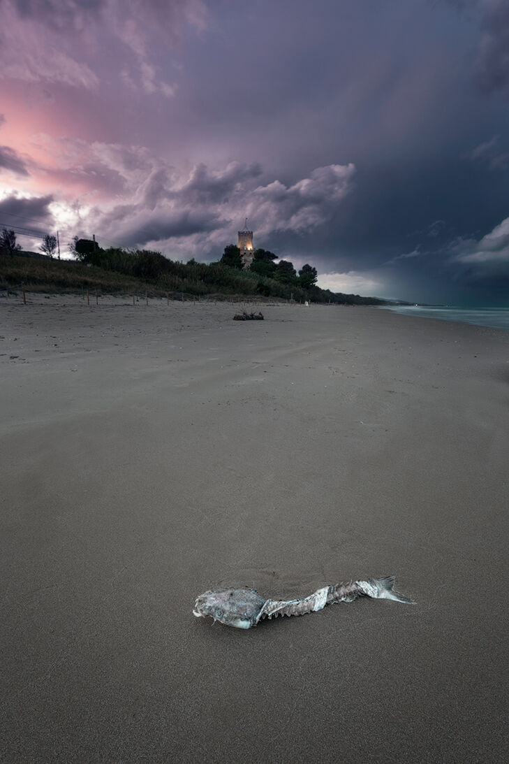 Torre del Cerrano Silvi Marina (te)