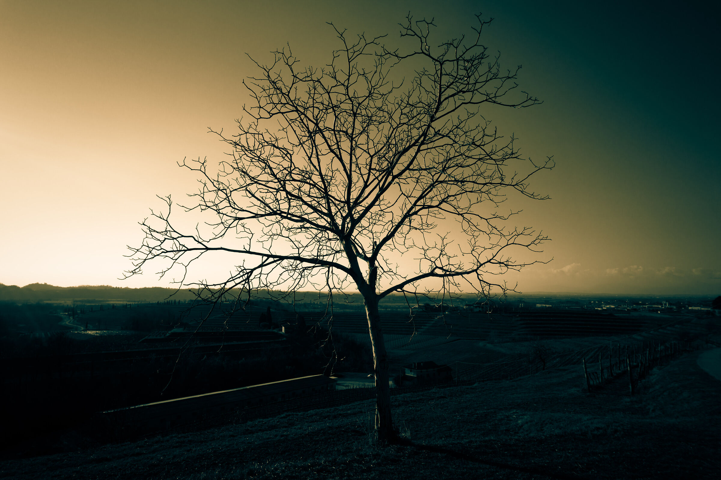 E un brivido scosse la terra ....