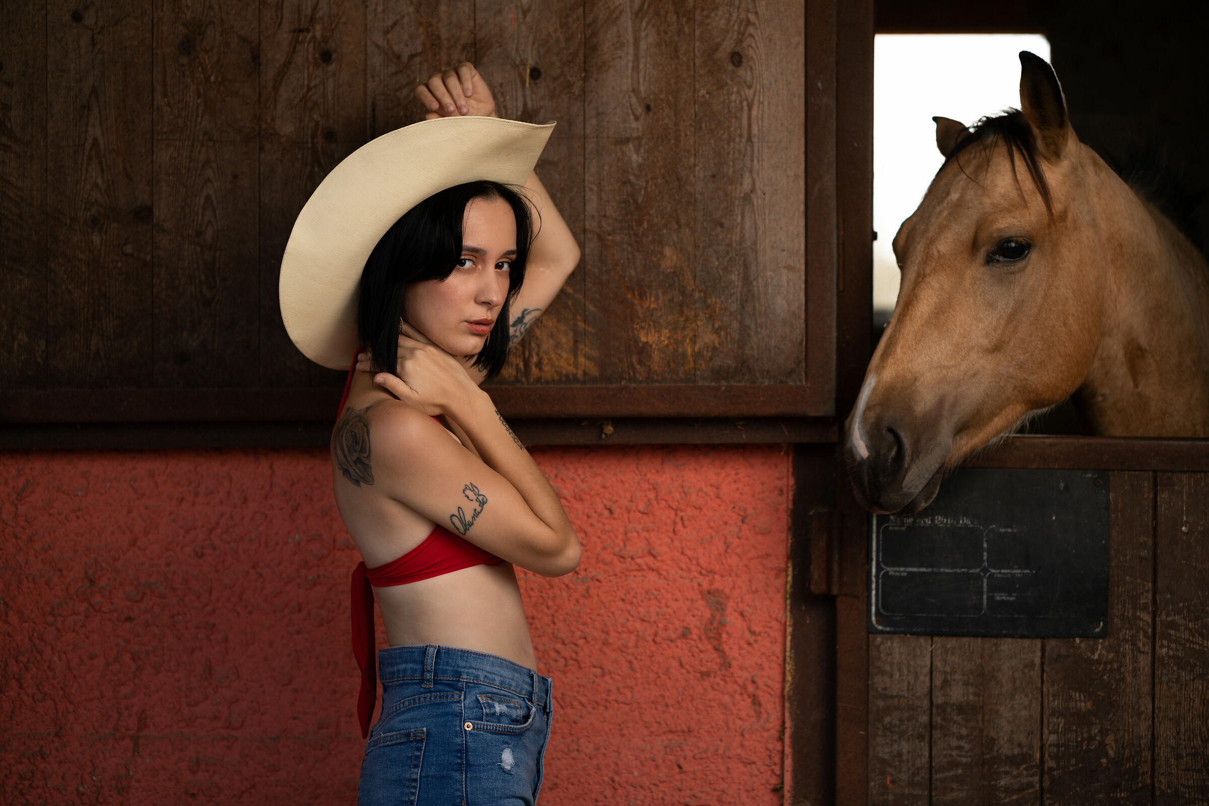 La cow girl ed il cavallo