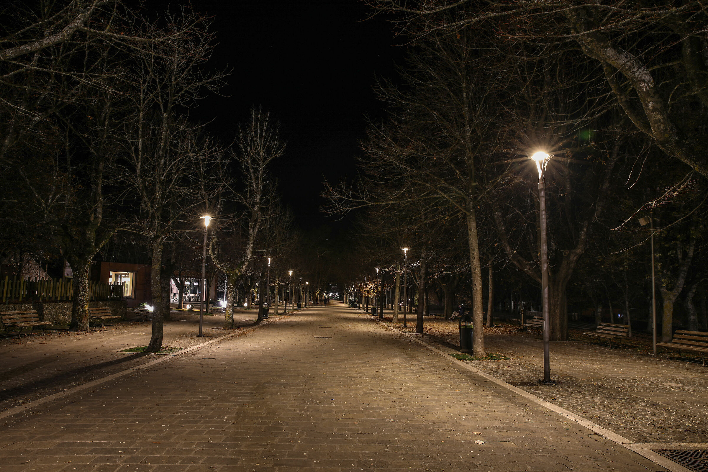 Tree-lined avenues and lockdowns