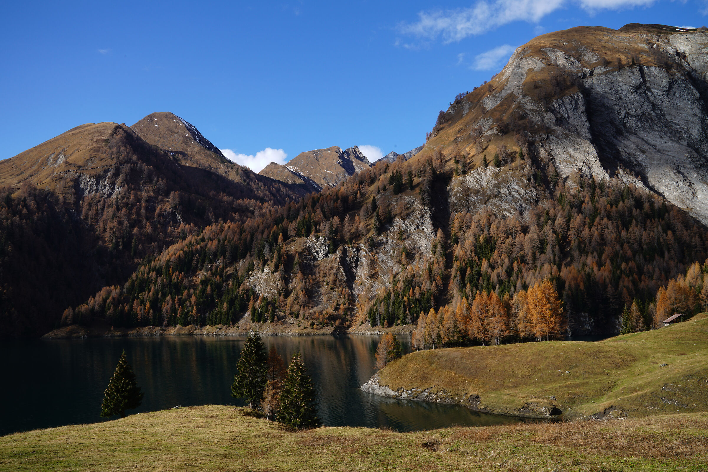 Autumn