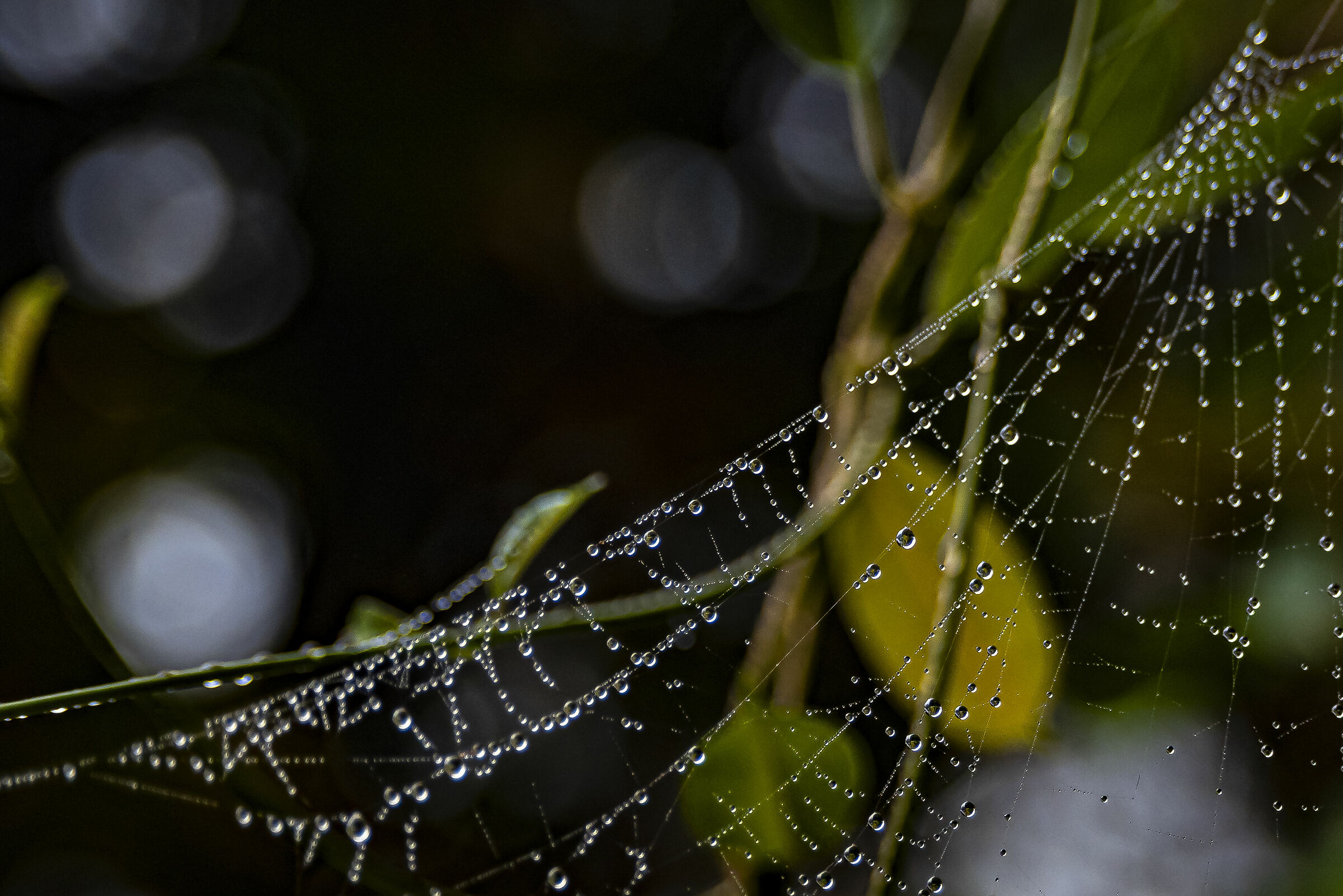 A few drops