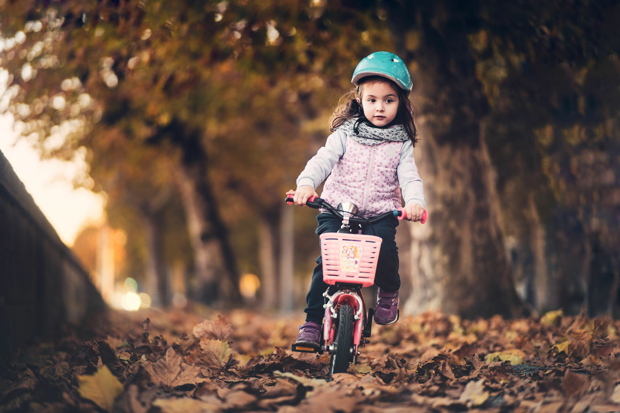 Pedalare in bicicletta