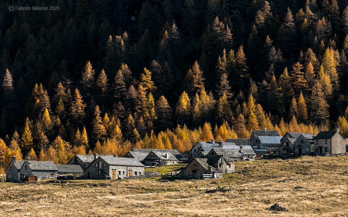 Compiti di geometria...triangoli