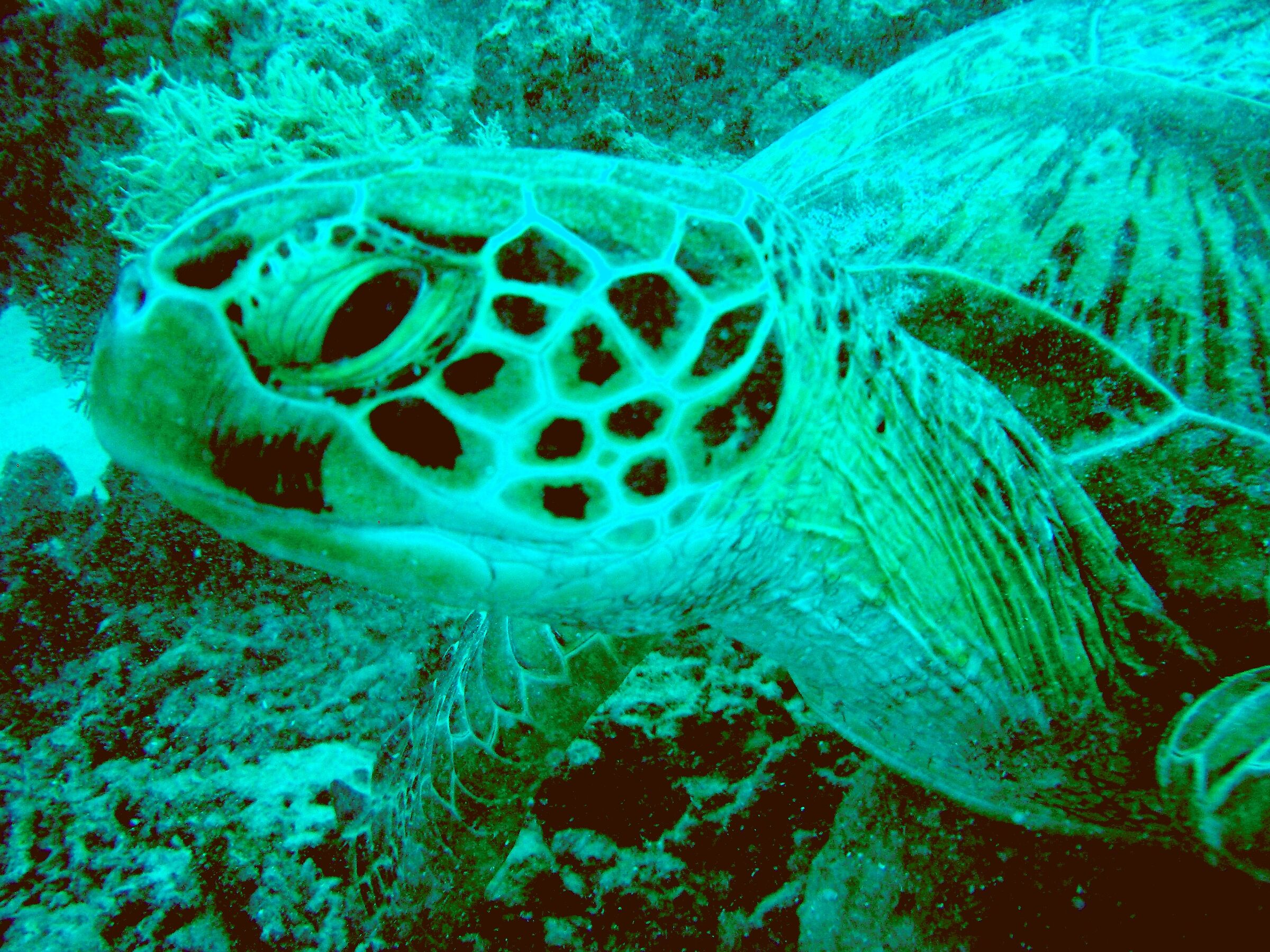 I don't care, I'm leaving!!