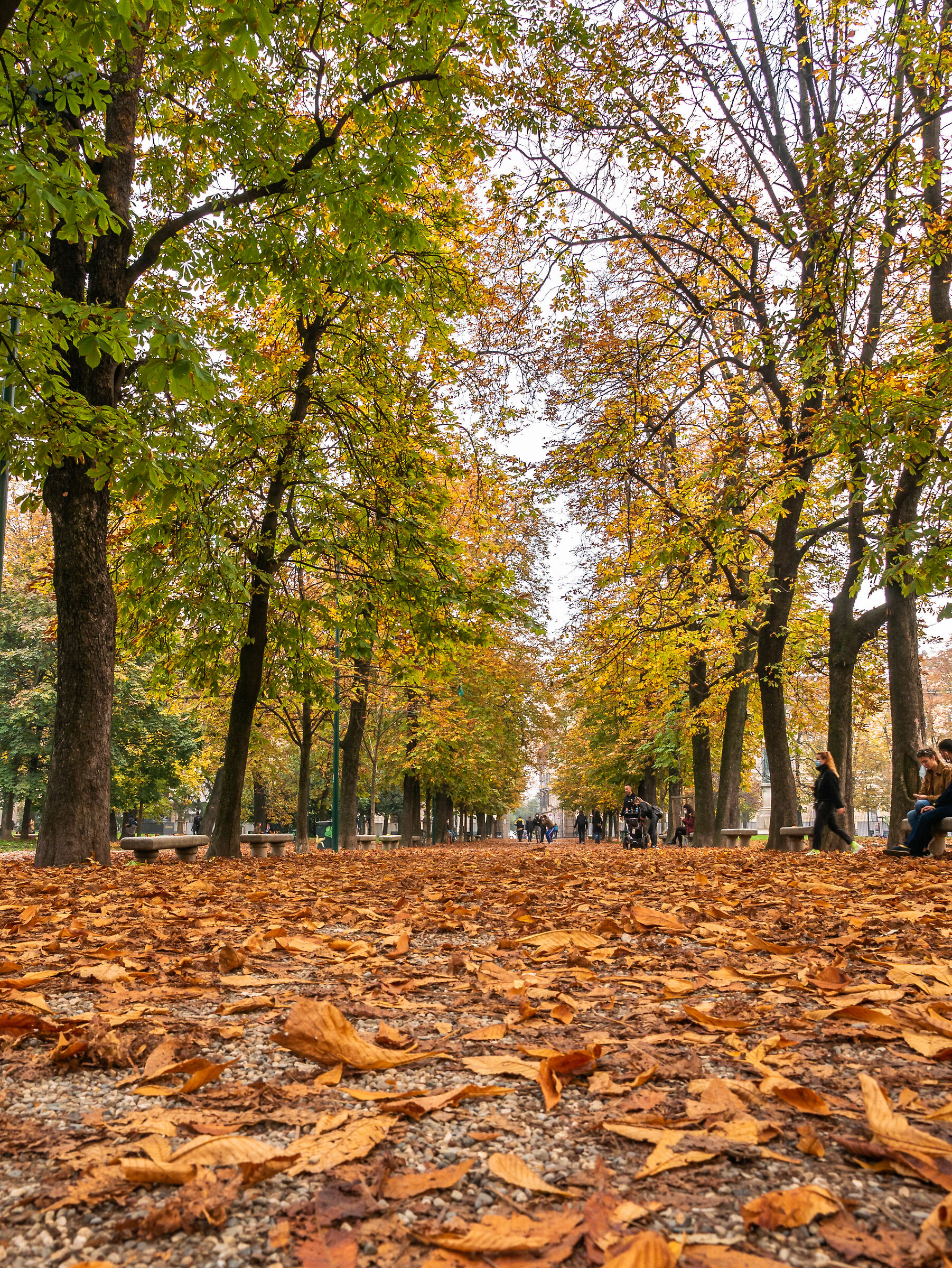 Foliage - Giardini Pubblici Indro Montanelli - Milan