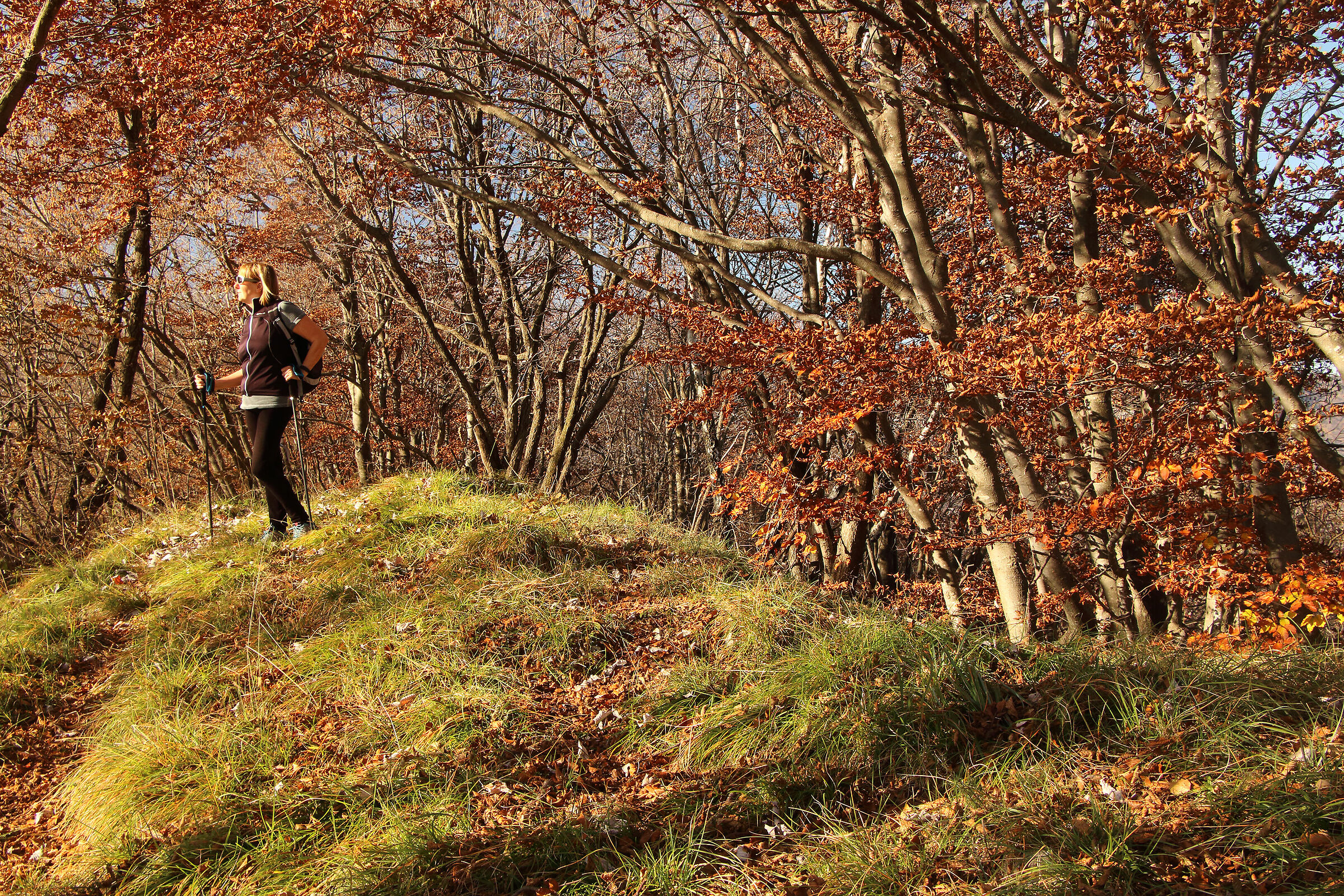 camminando su un crinale