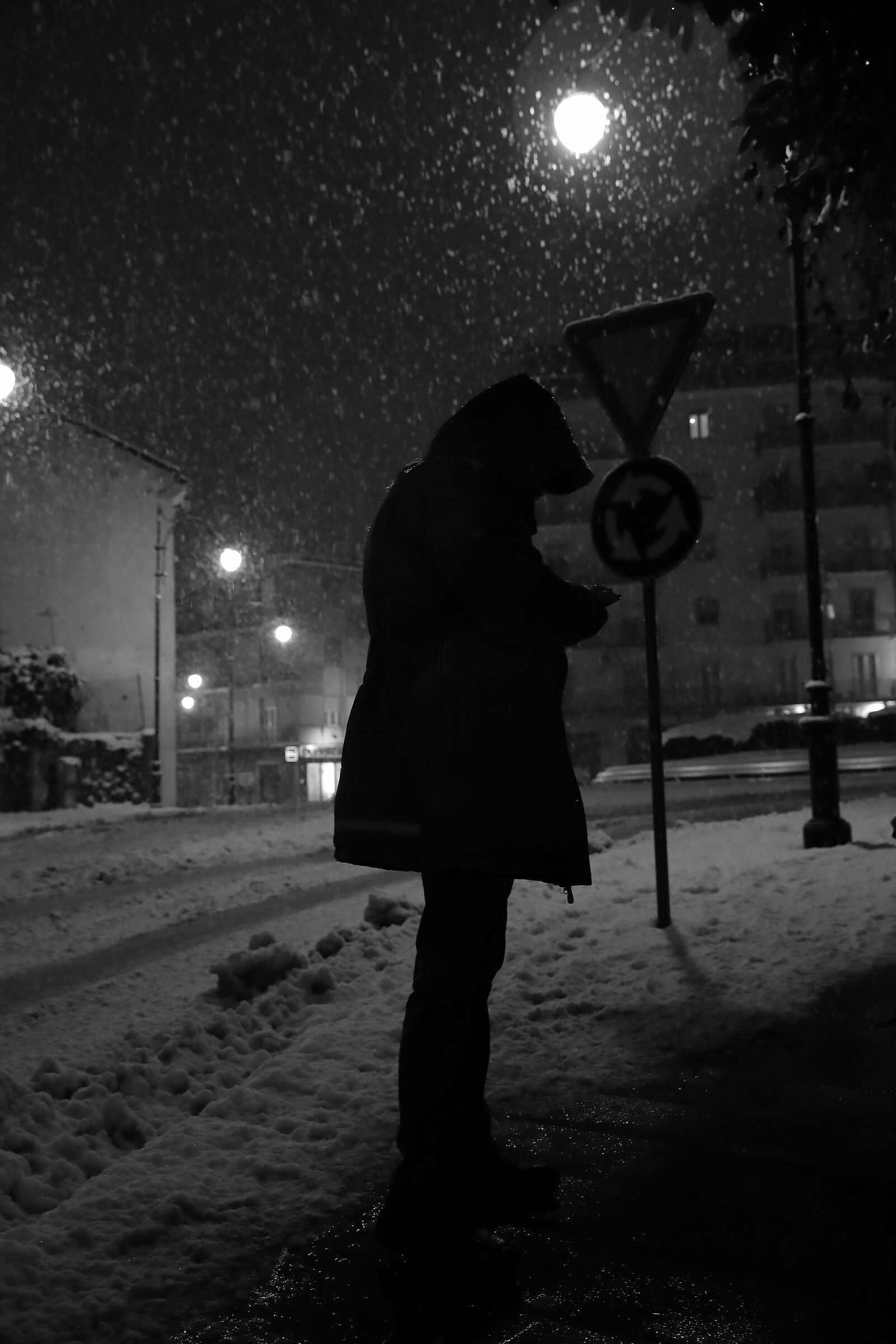 Il silenzio della neve