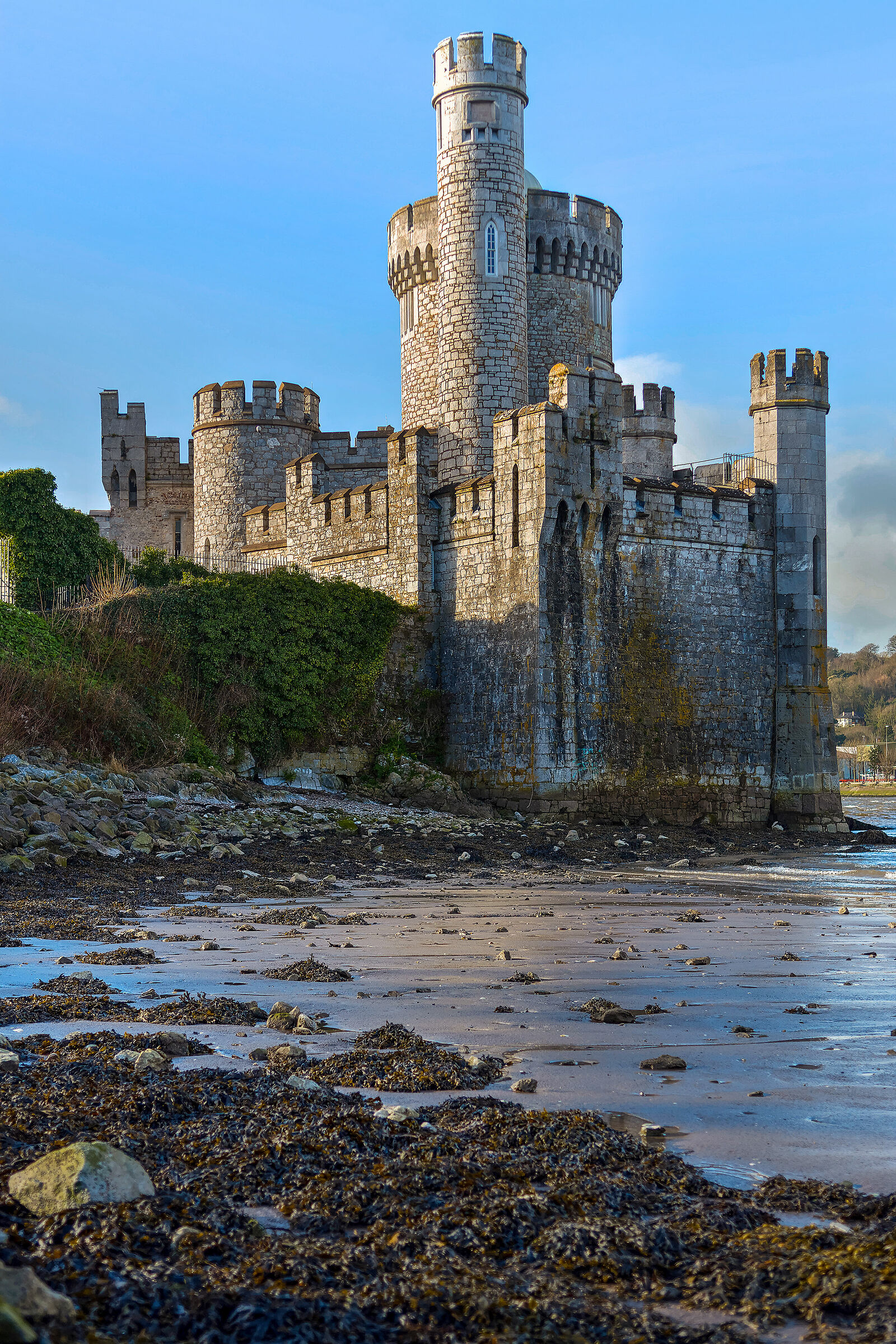 Blackrock Castle