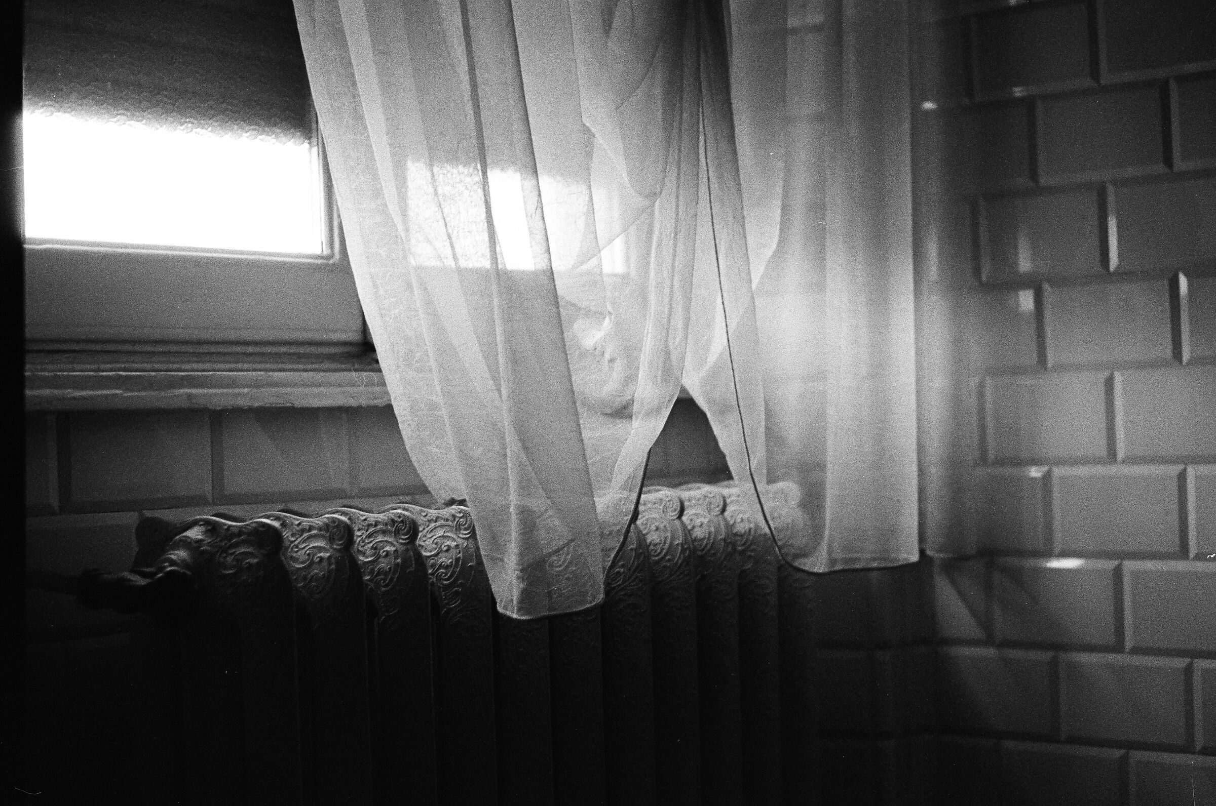 Light from the window