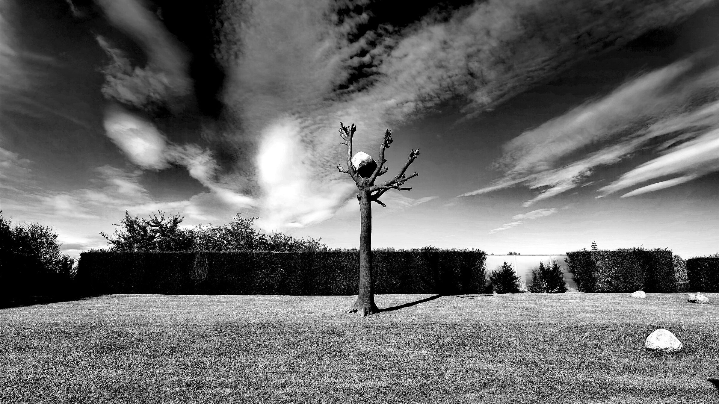 Giardini Reggia di Venaria, Grandangolo al suolo