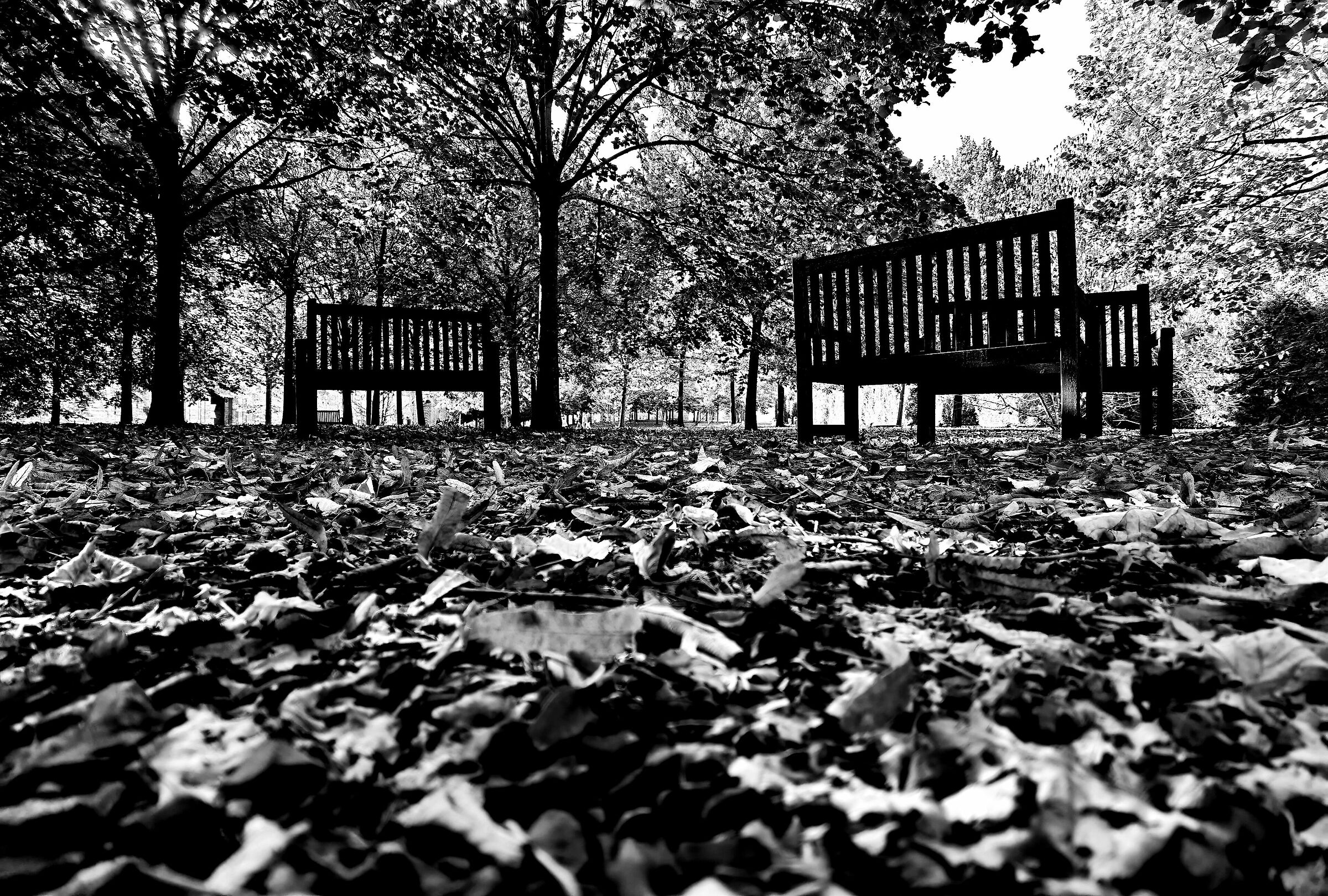 Giardini Reggia di Venaria, Grandangolo al suolo