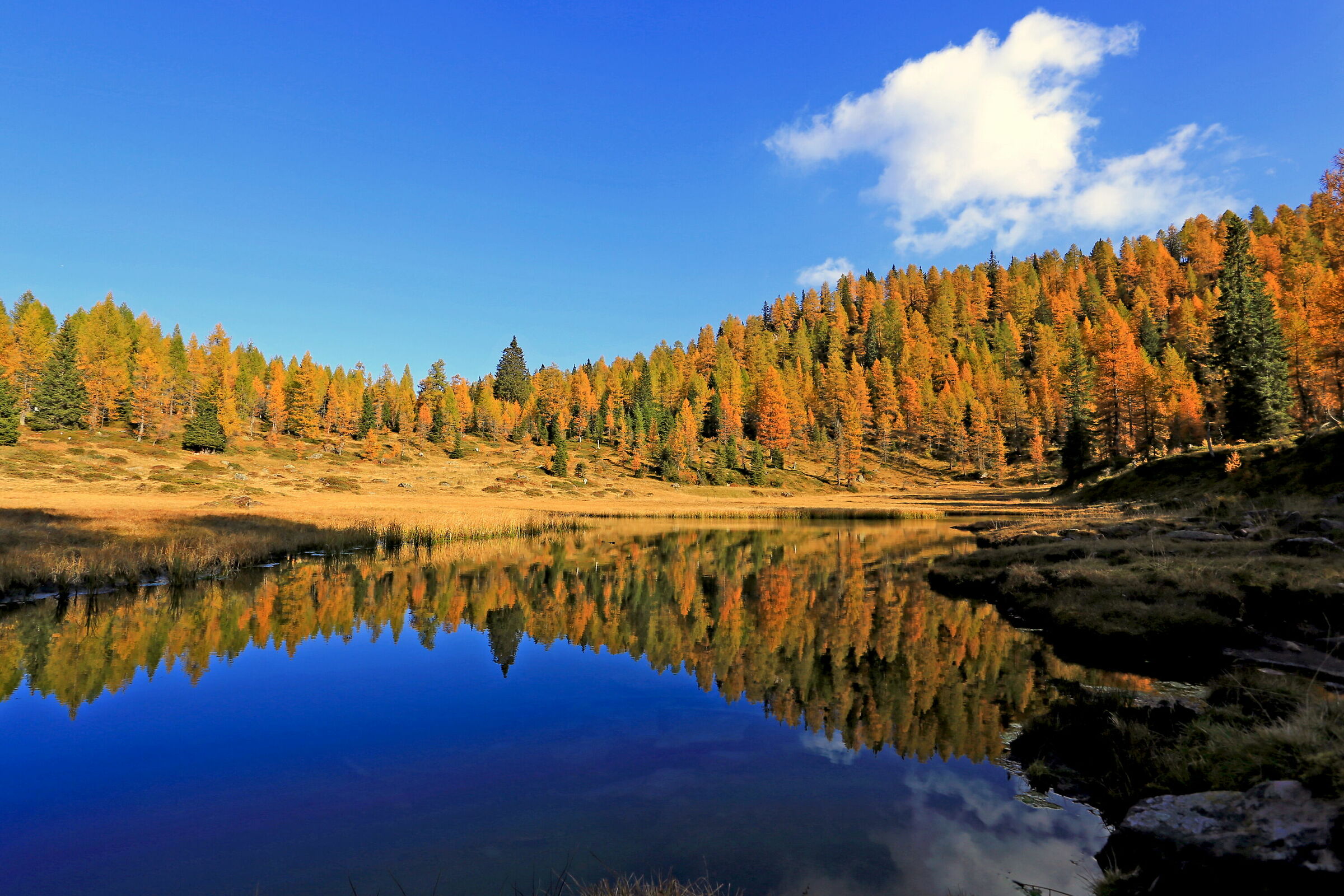 Lago del Larice - Malga Clef