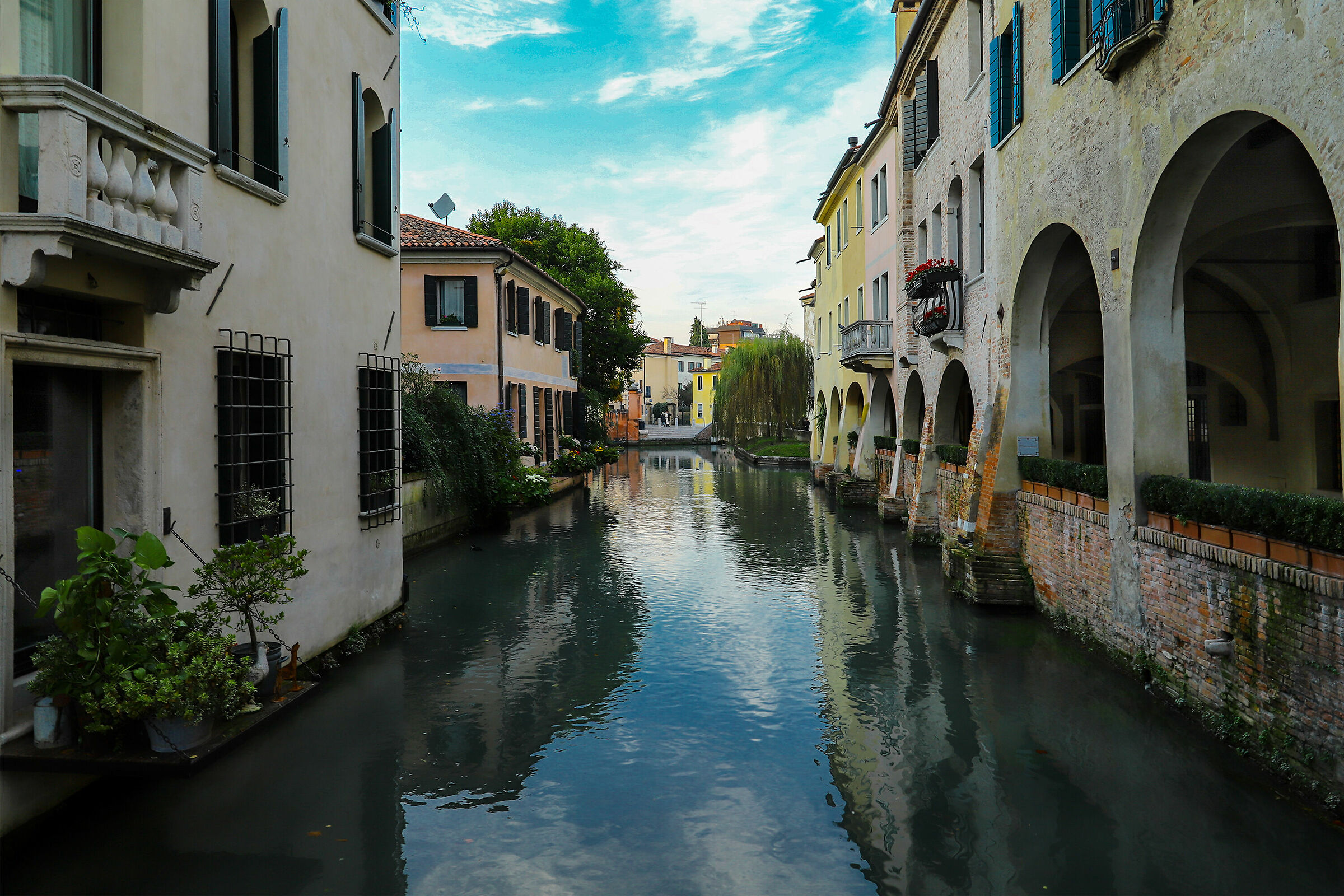 Treviso