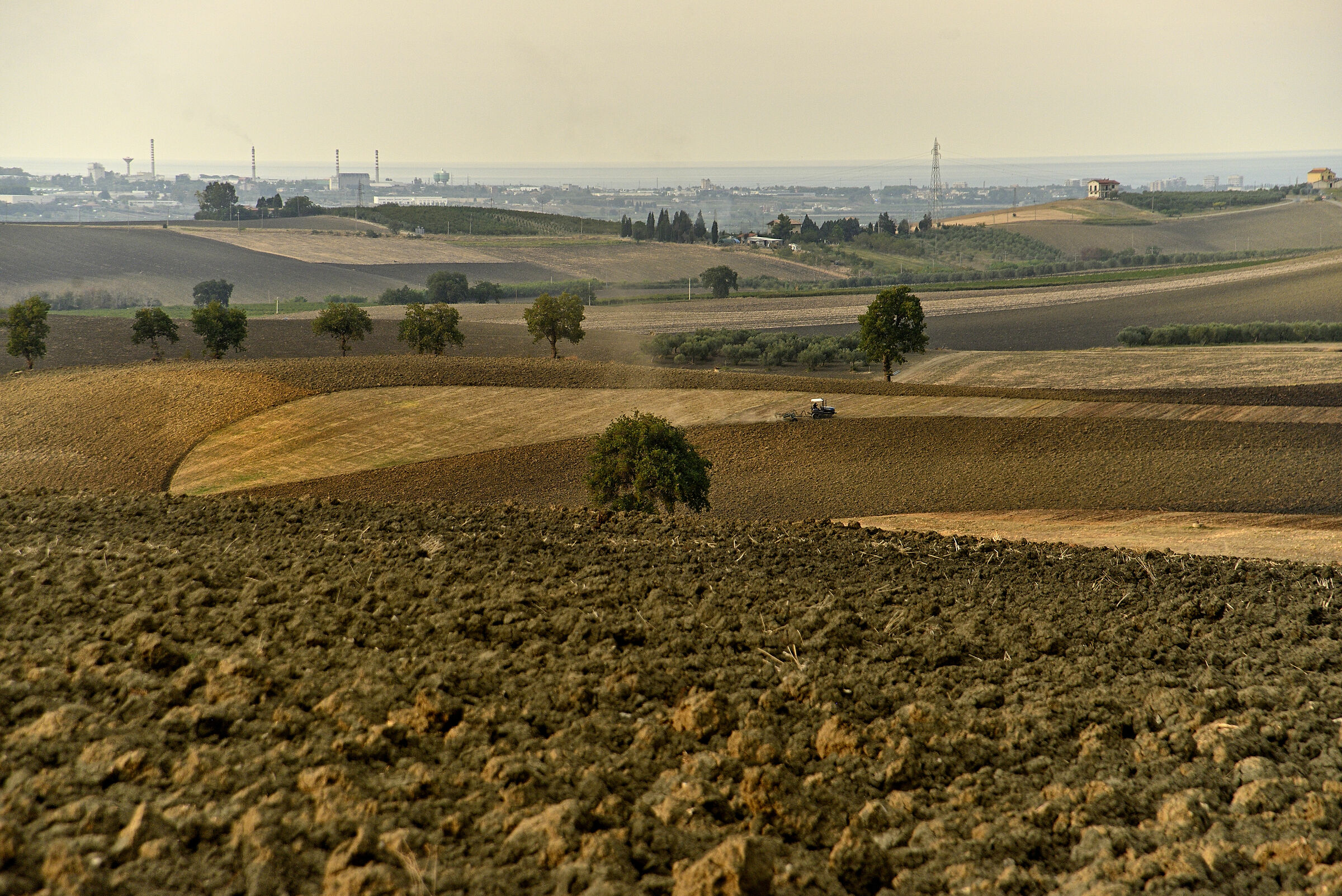 Cesellatore di zolle