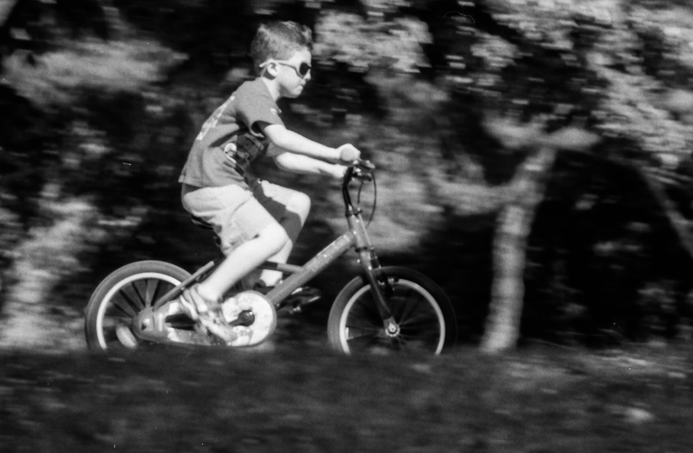 Veloce come il vento