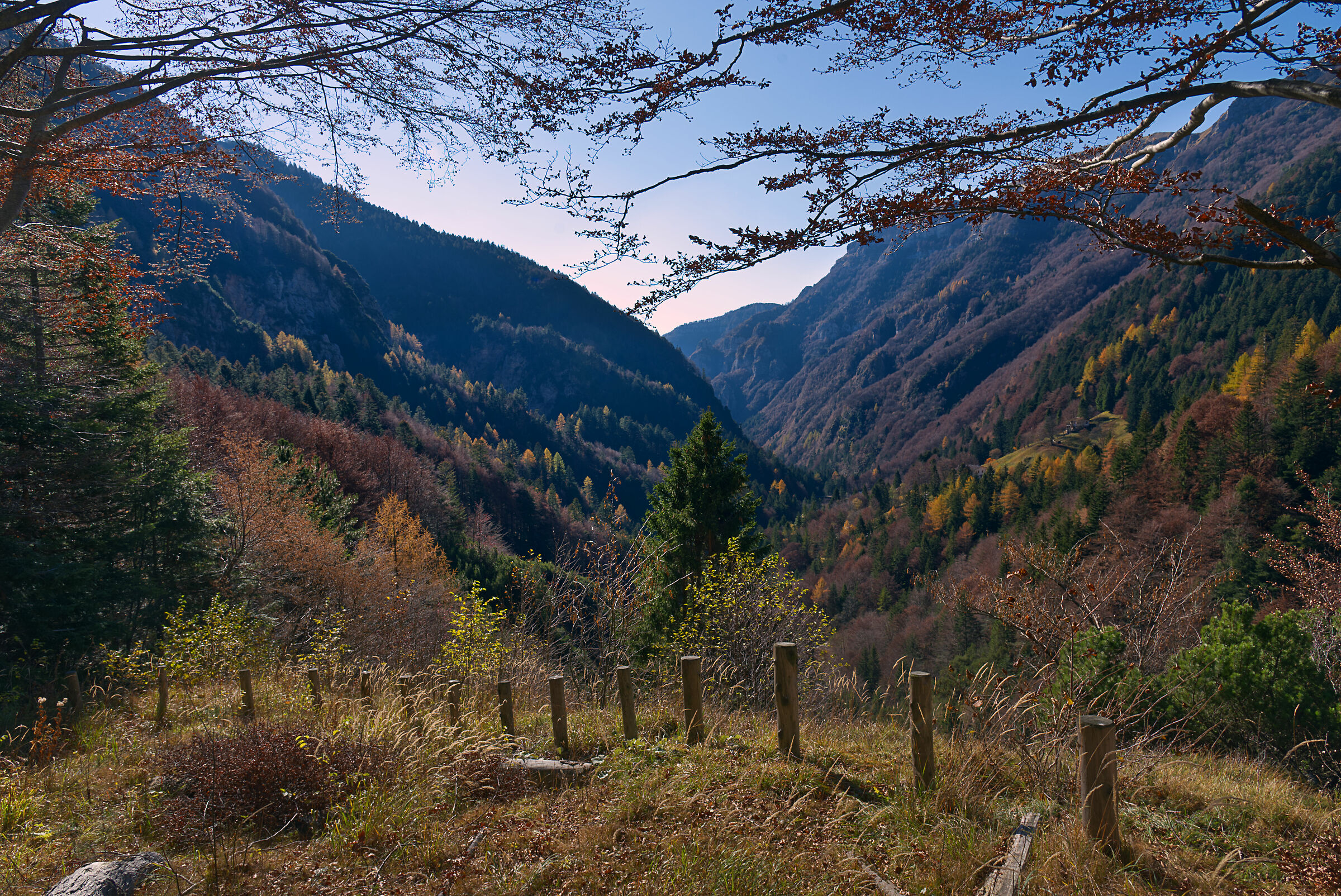 The colors of autumn