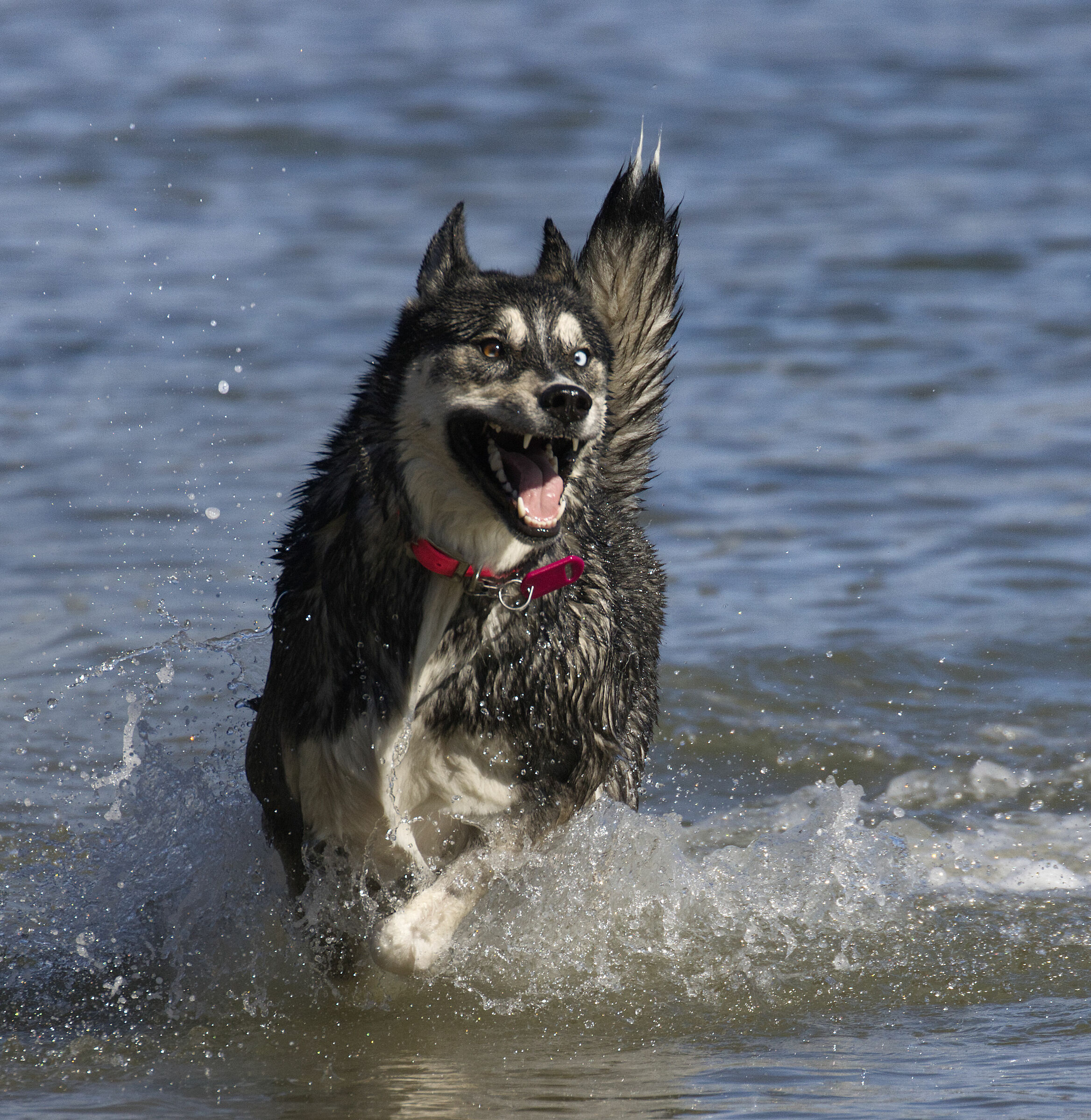 What happiness is?..