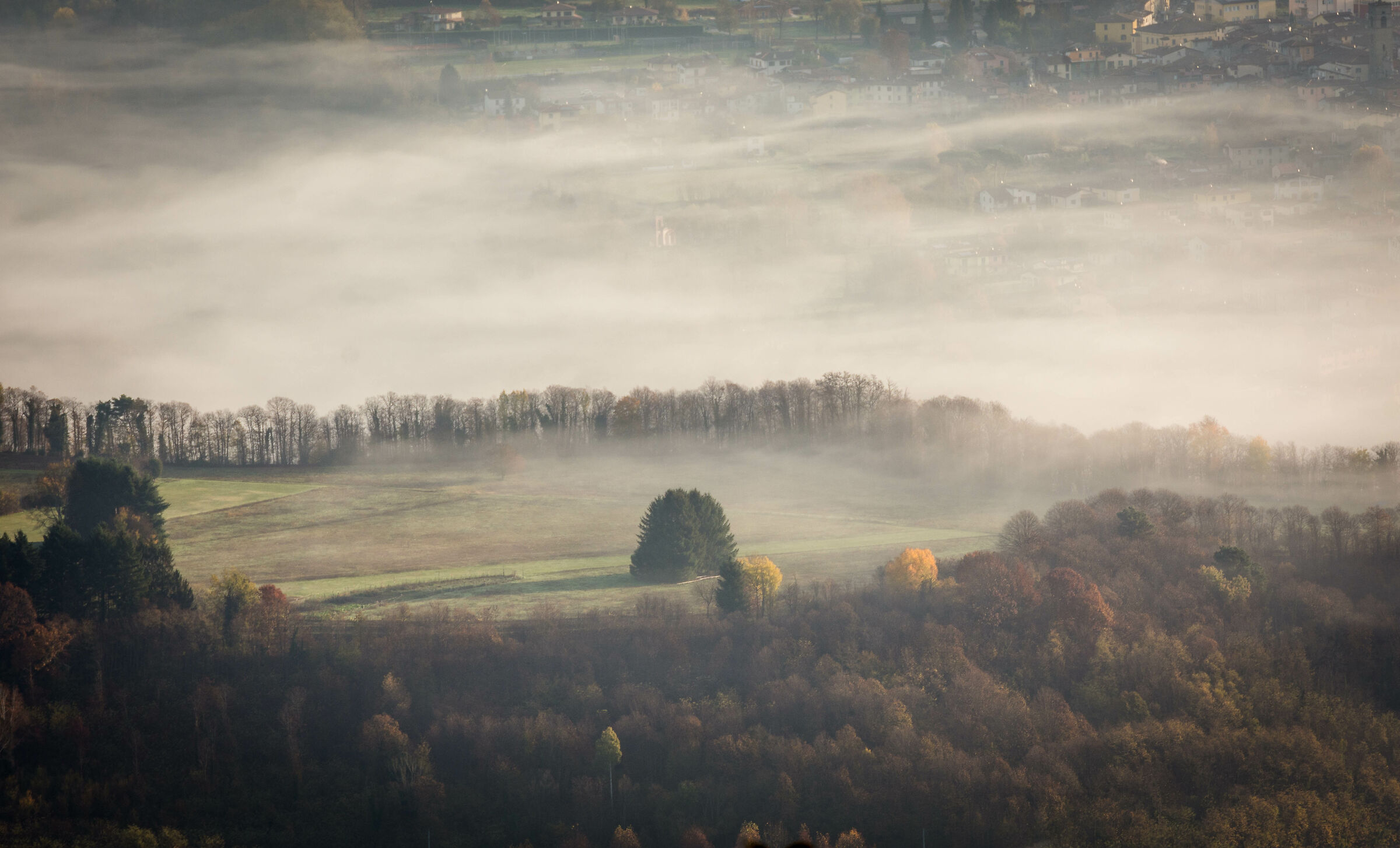 Visione autunnale "soft"