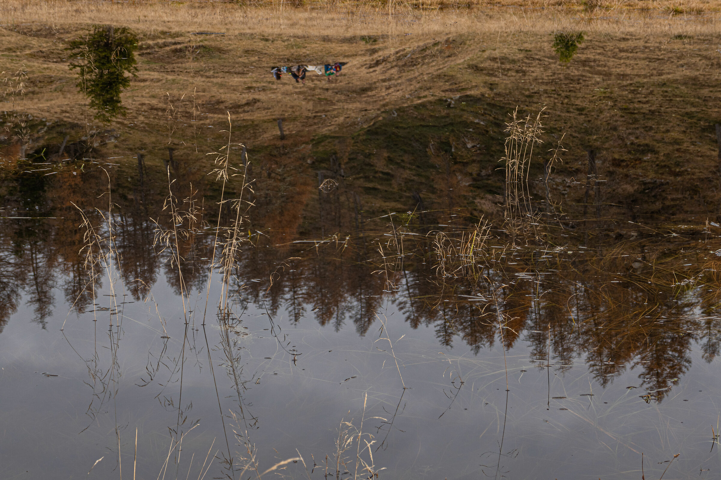 Ups and down moments