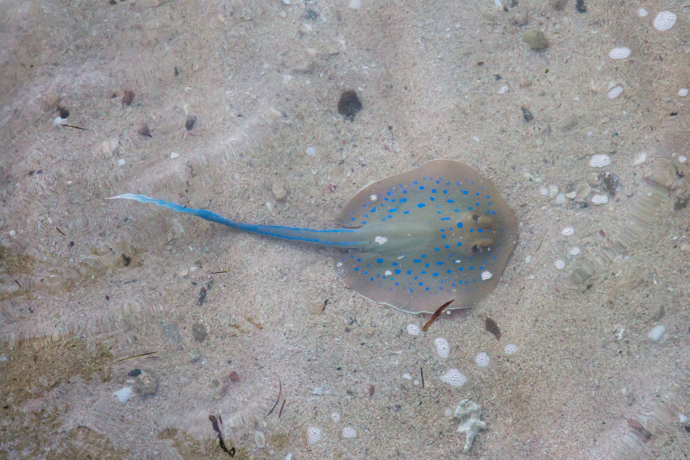 Al tramonto in pochi centimetri d'acqua