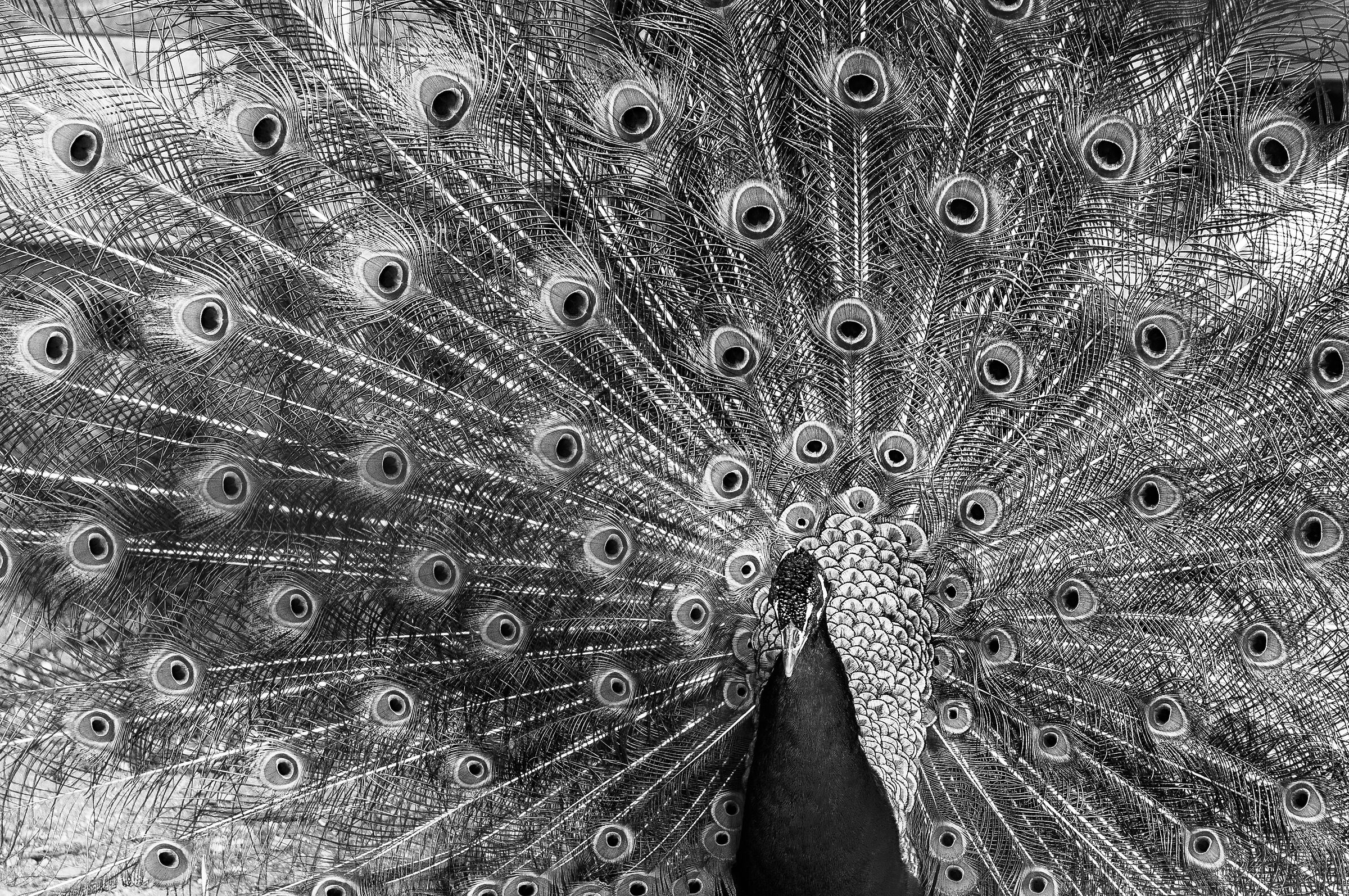 And I'm going to take away your color.