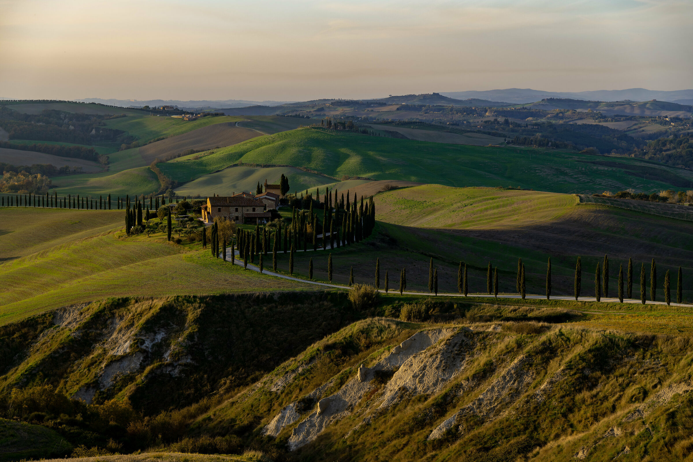 Crete senesi, Asciano (si)