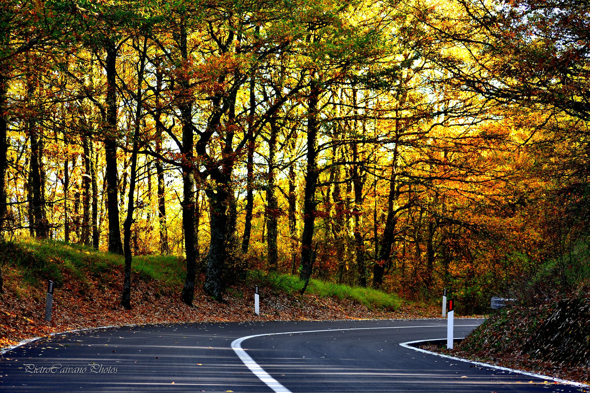 Mountains Roads backside
