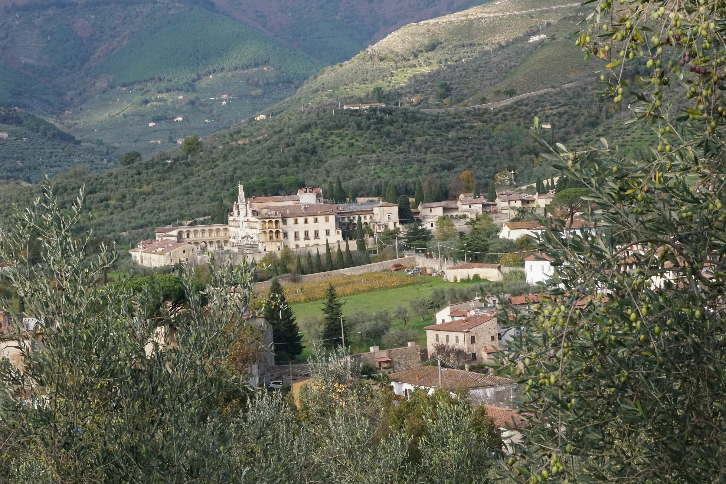 Certosa di Pisa