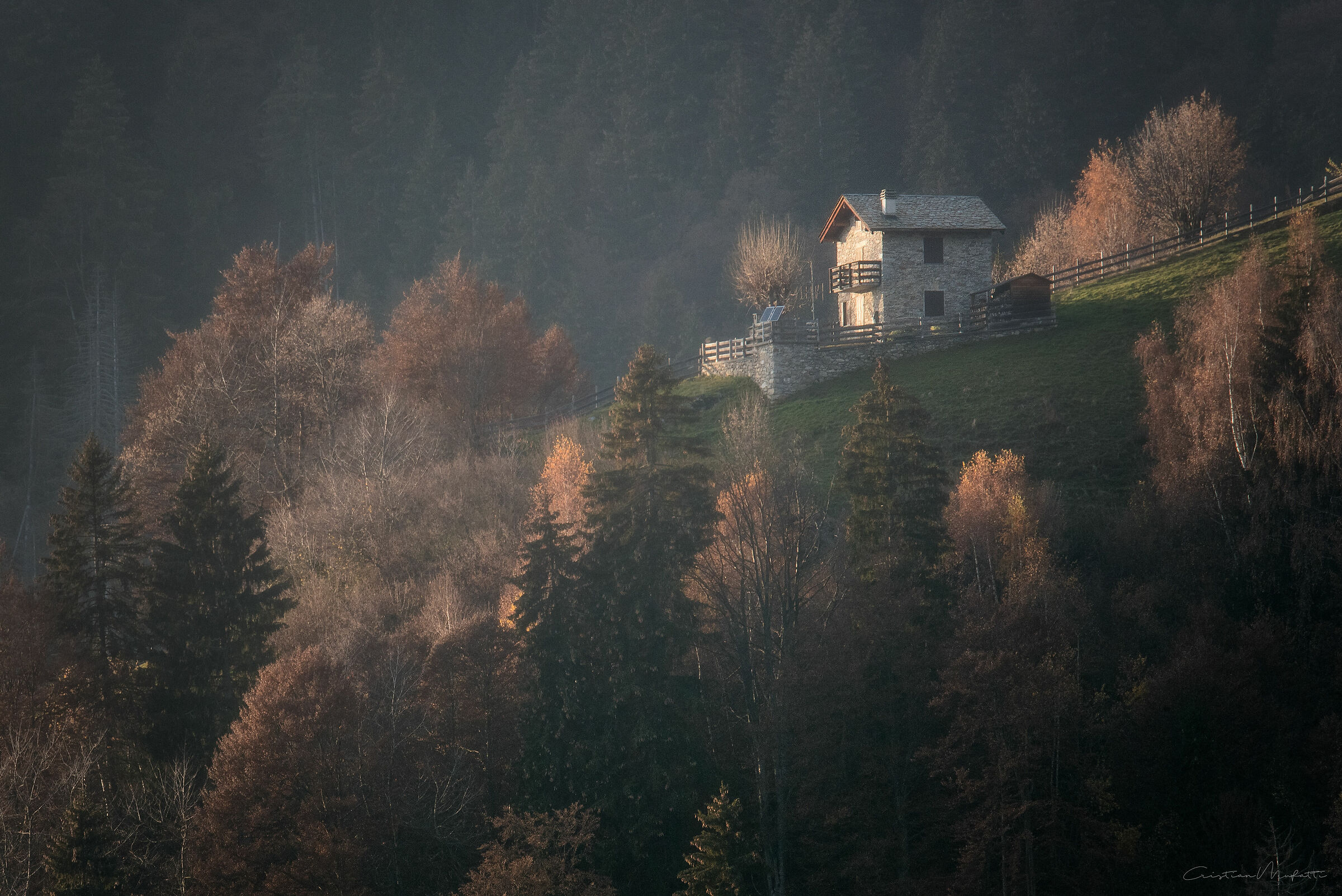 The cottage in the woods