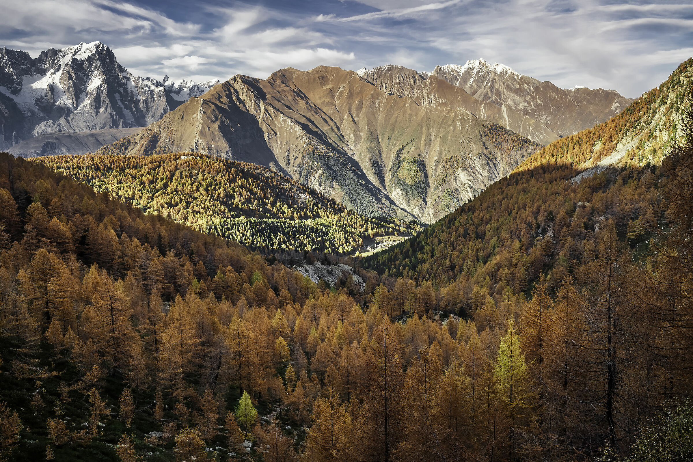 Foreste accese d'autunno
