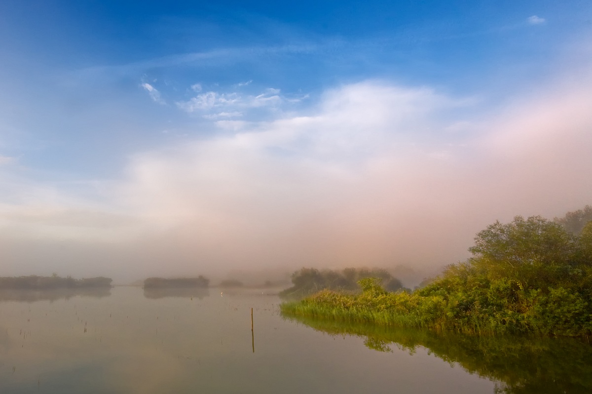 Alba e nebbia in laguna.