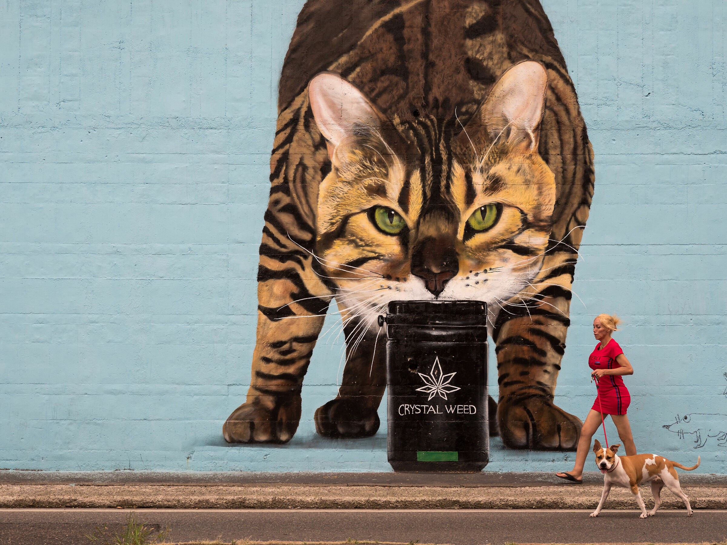 fai finta di niente!