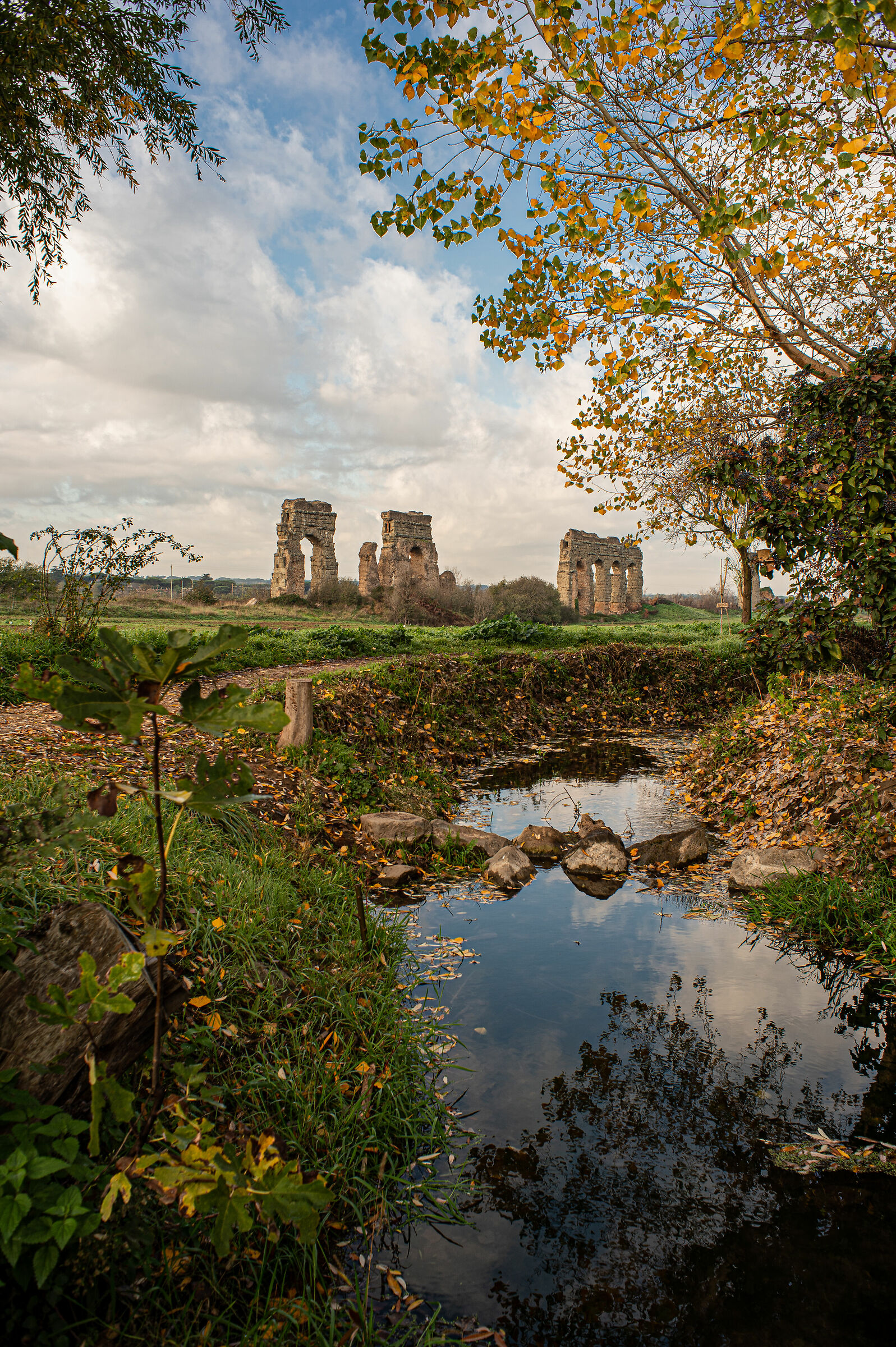 Parco degli acquedotti. Autunno