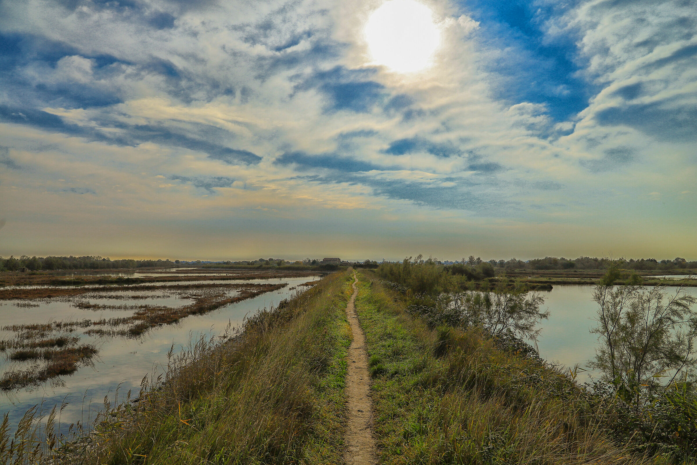 Sole pallido a Lio Piccolo