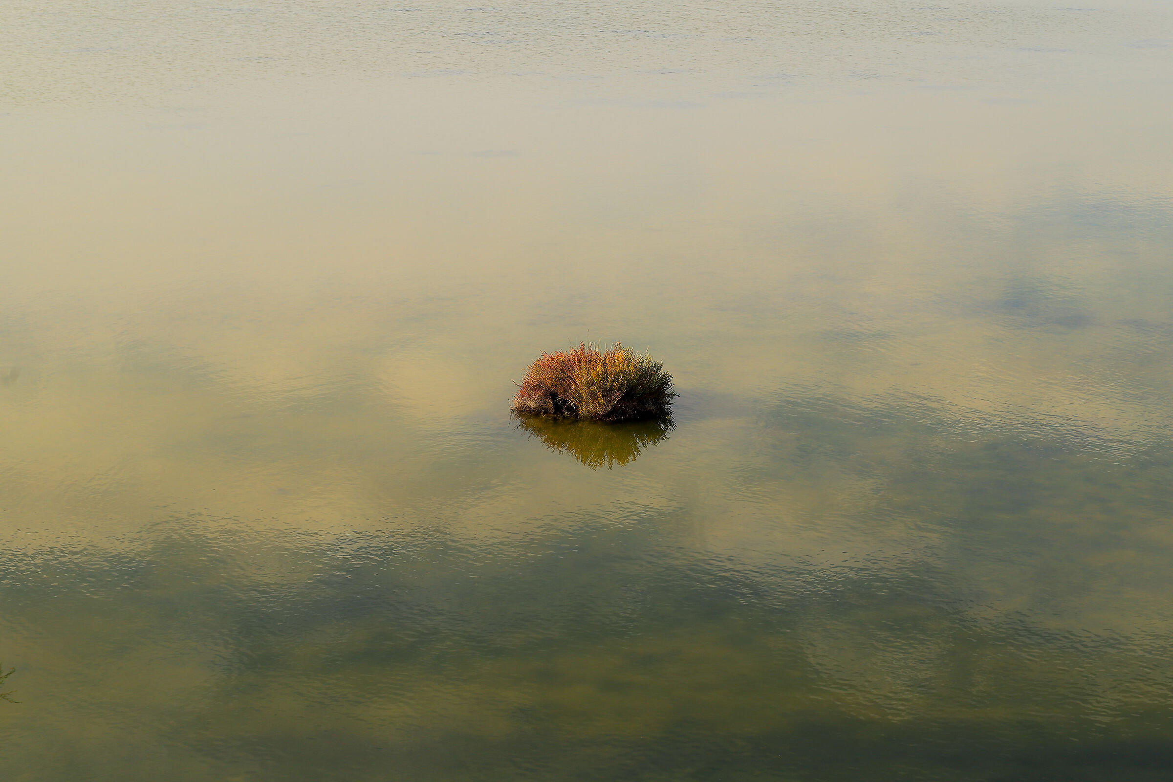 Galleggiano sulle nuvole