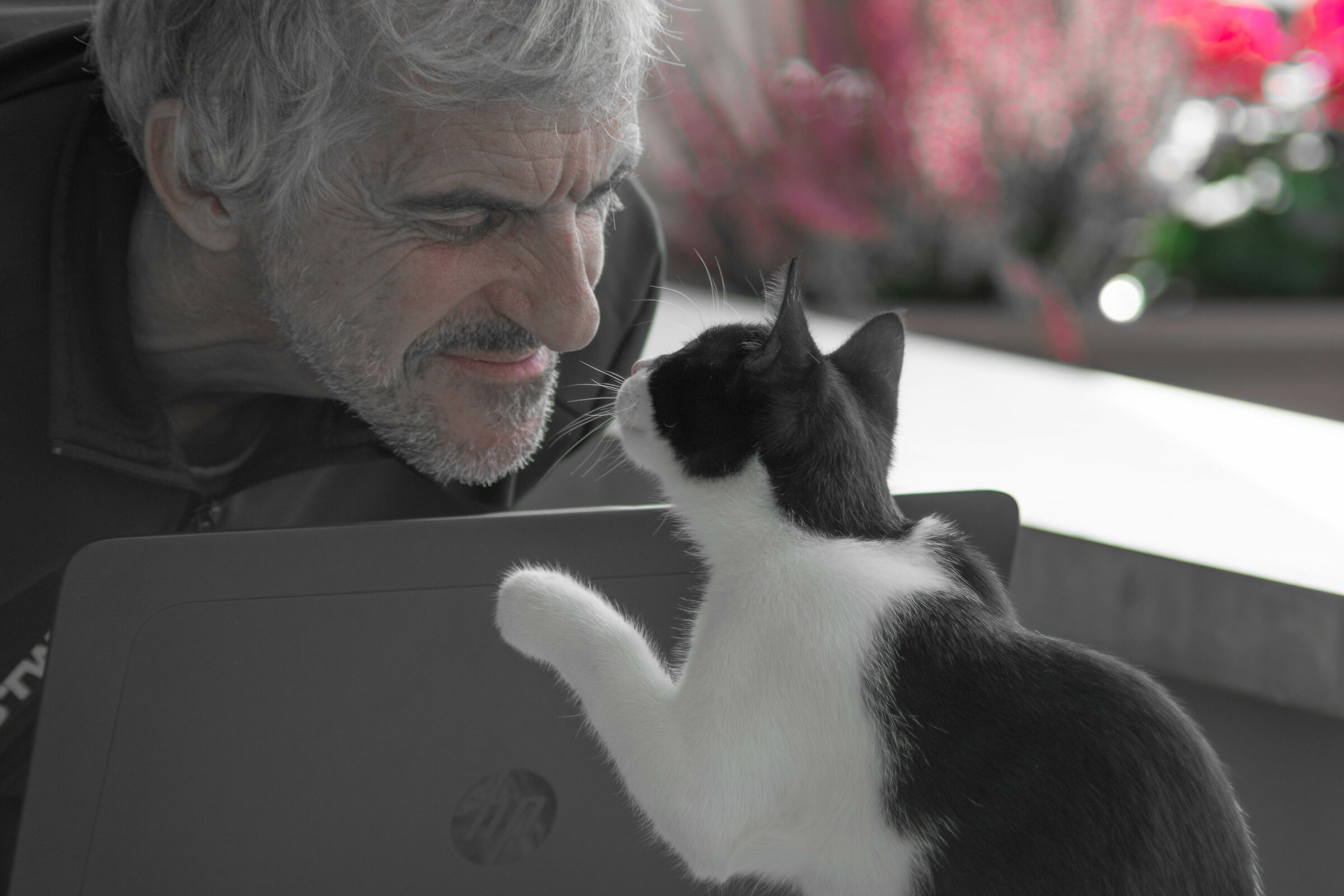 Smartworking: piccole sorprese quotidiane