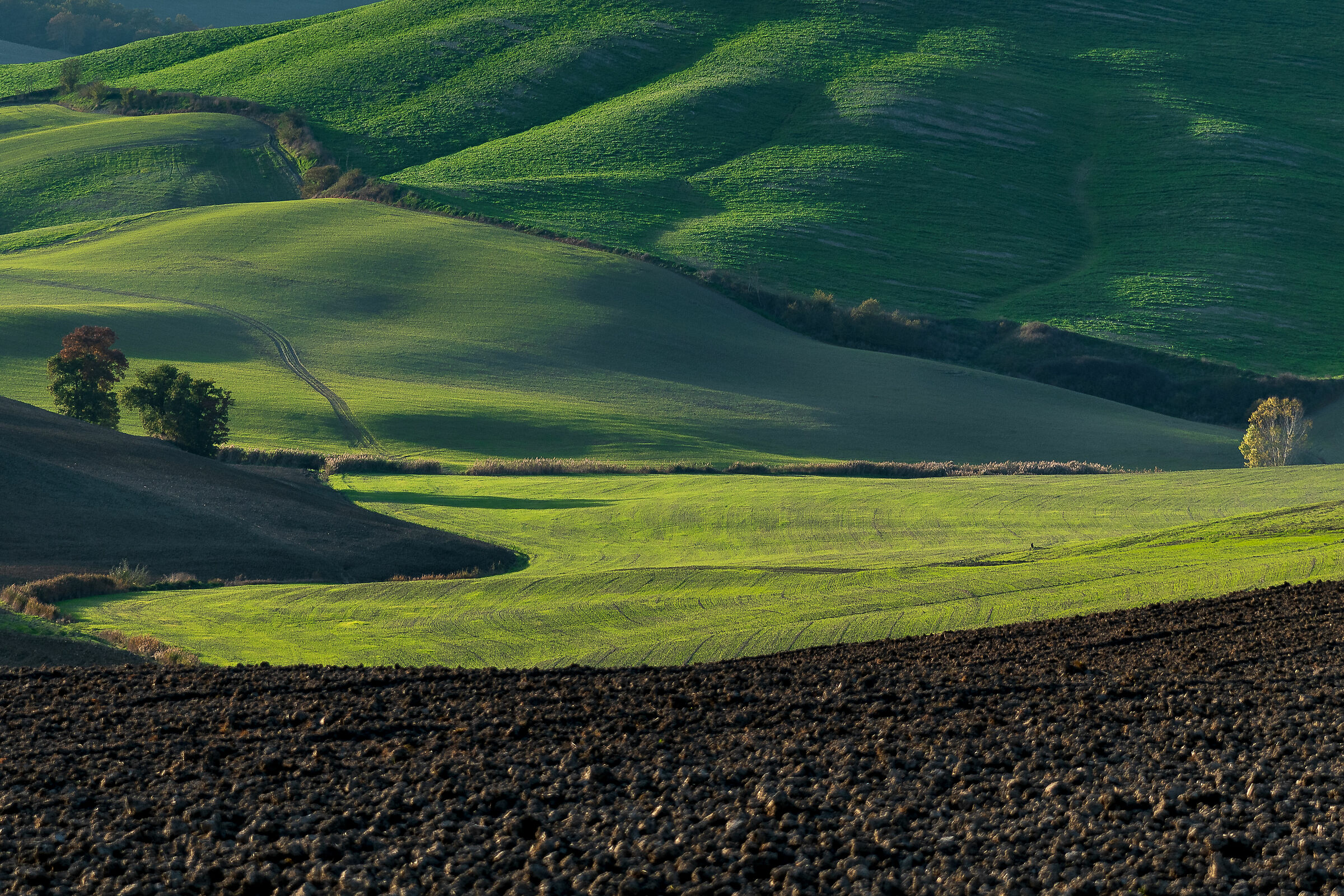 Crete senesi