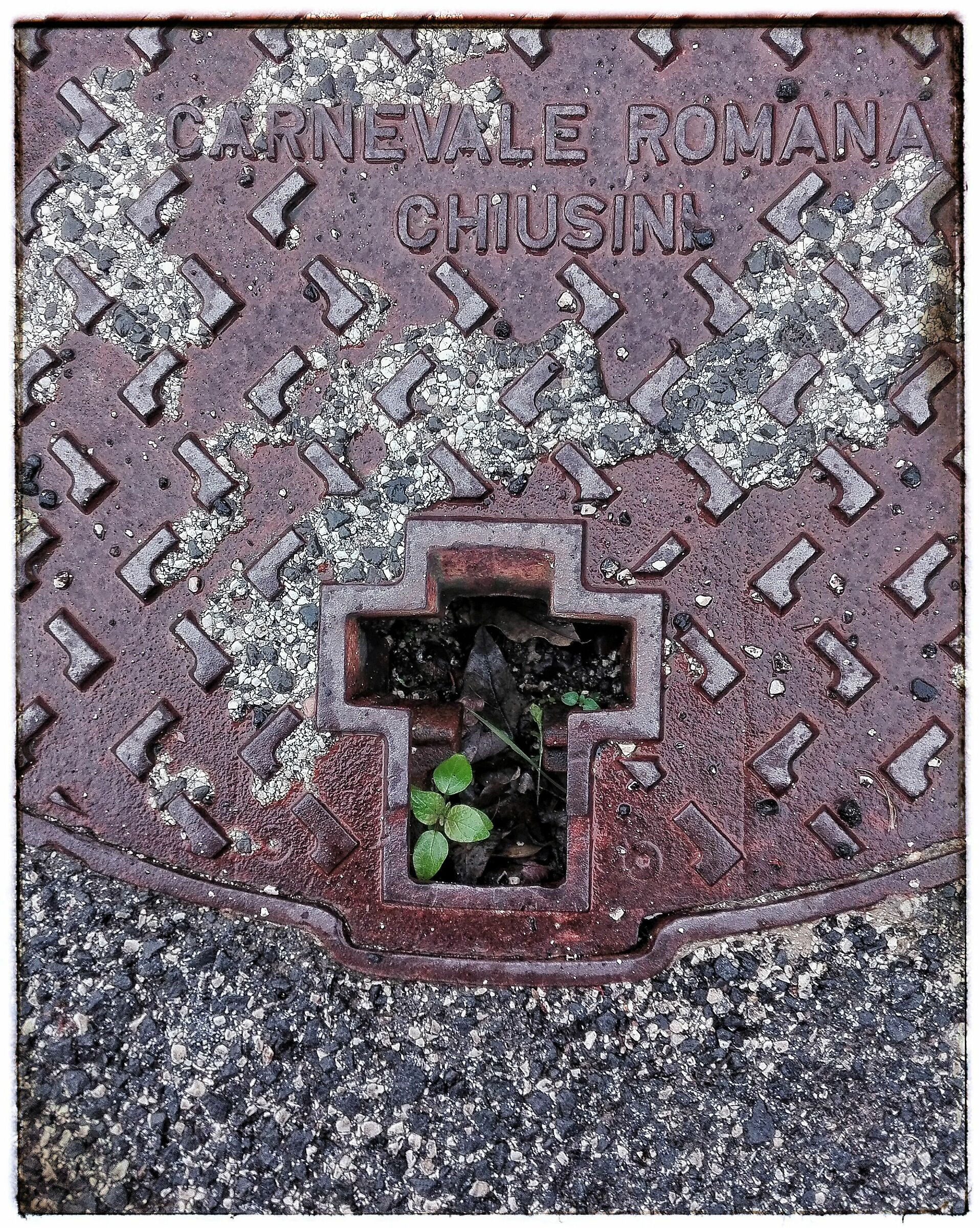 Traces of life on planet Earth