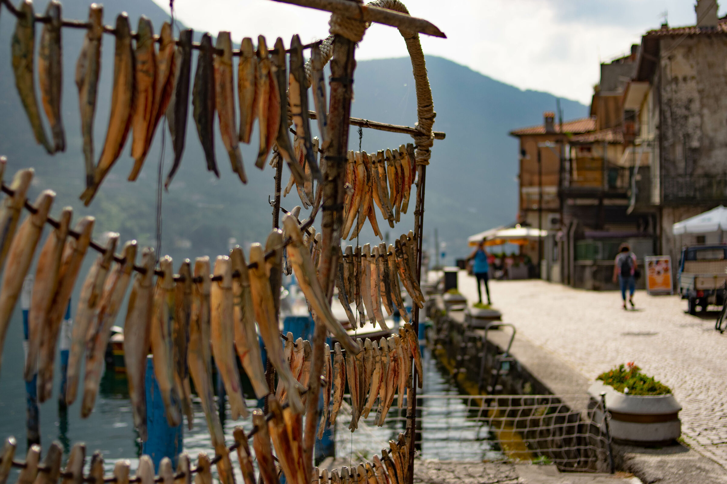 Sardine (di legno) di Montisola