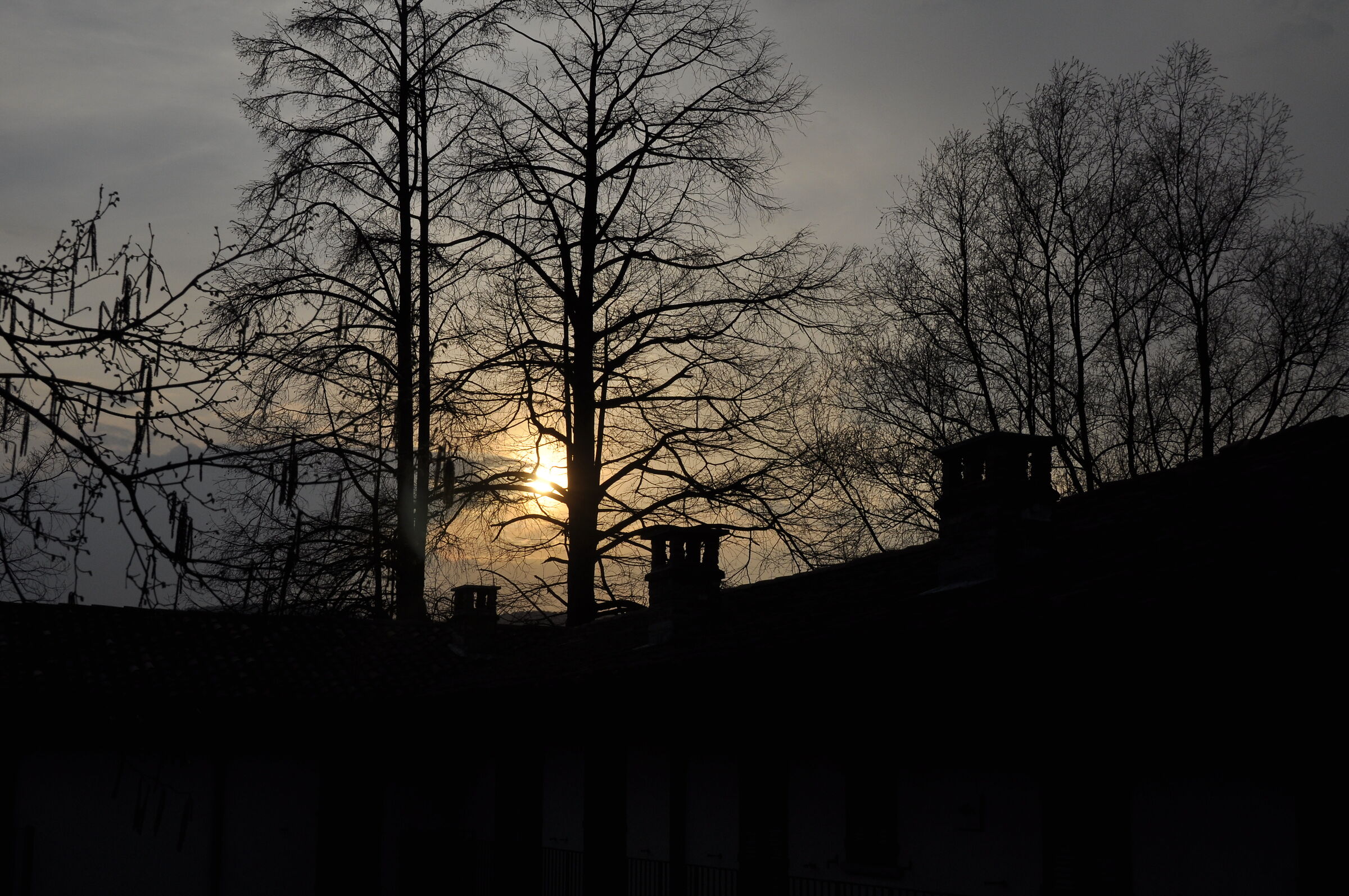 Between light and shadow