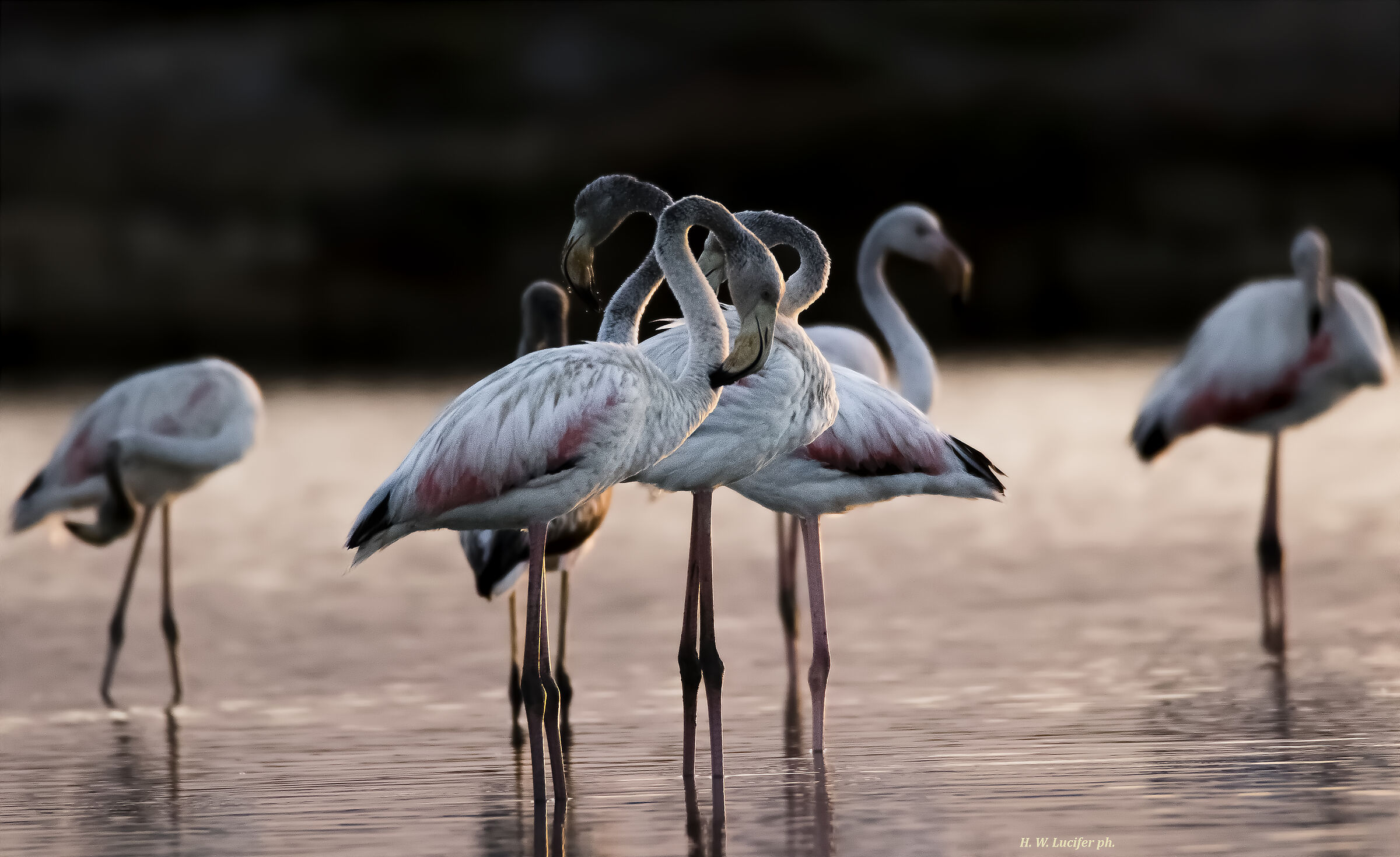 Sunrise at the salt pans