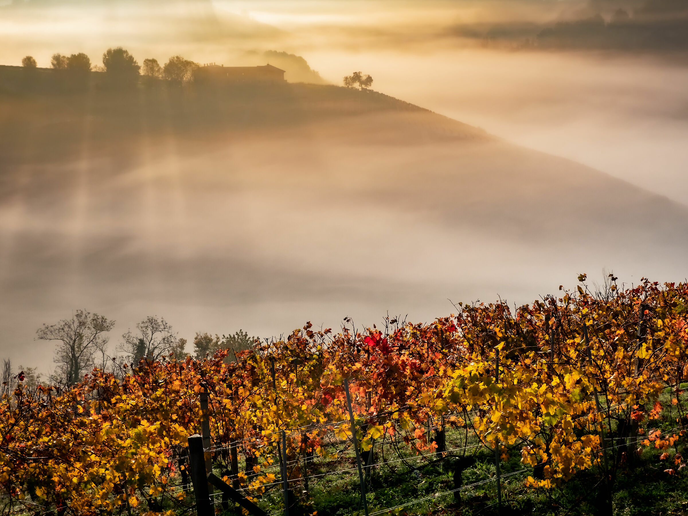 Un nuovo giorno in Langa