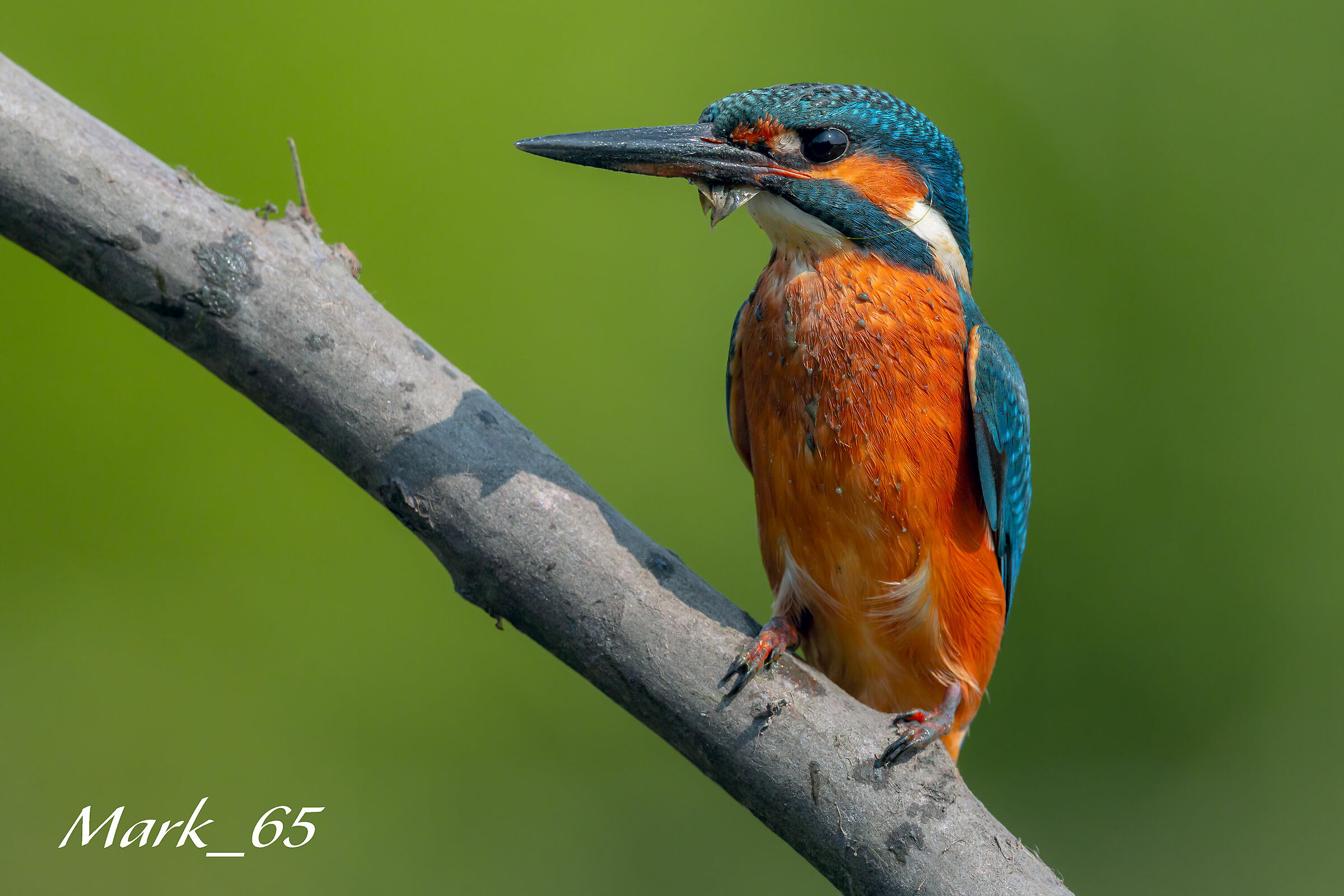 Ho toccato il fondo....