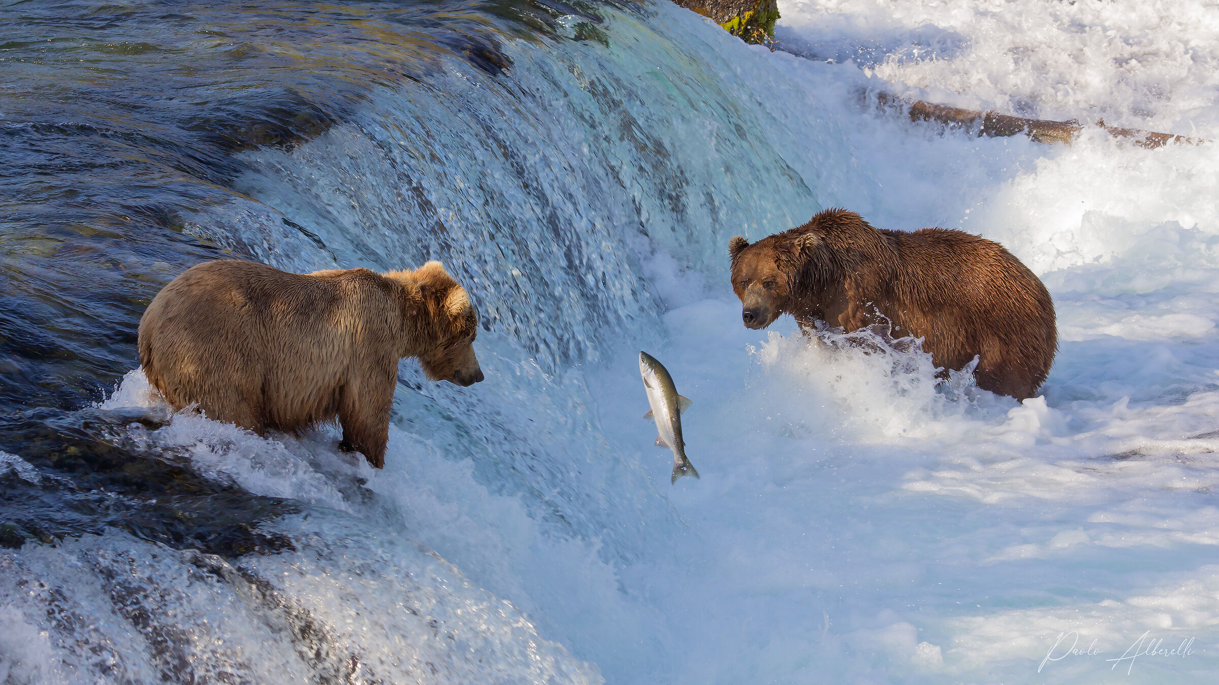 Lo prendo io o lo prendi tu?