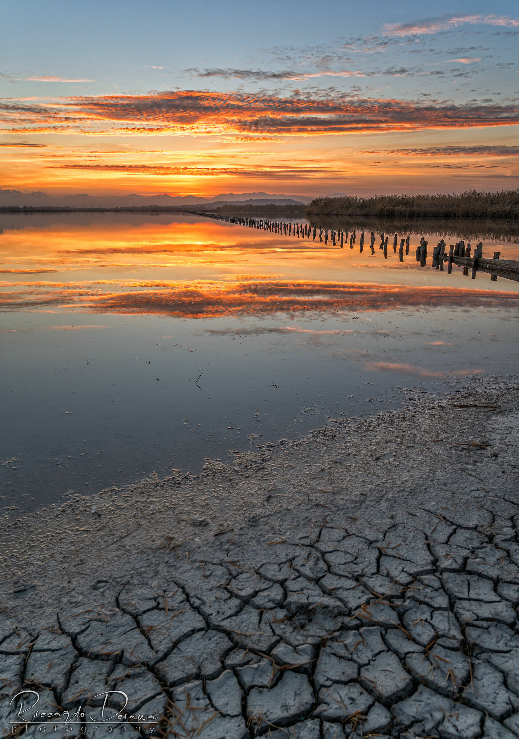 Dry pond