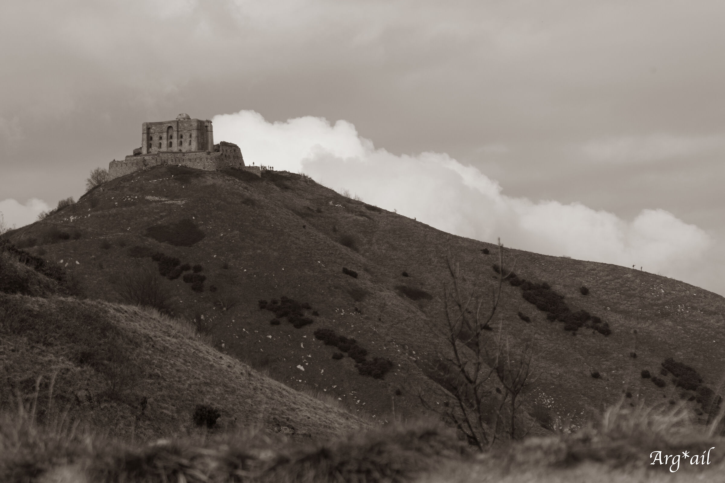 Fort Sepia Diamond