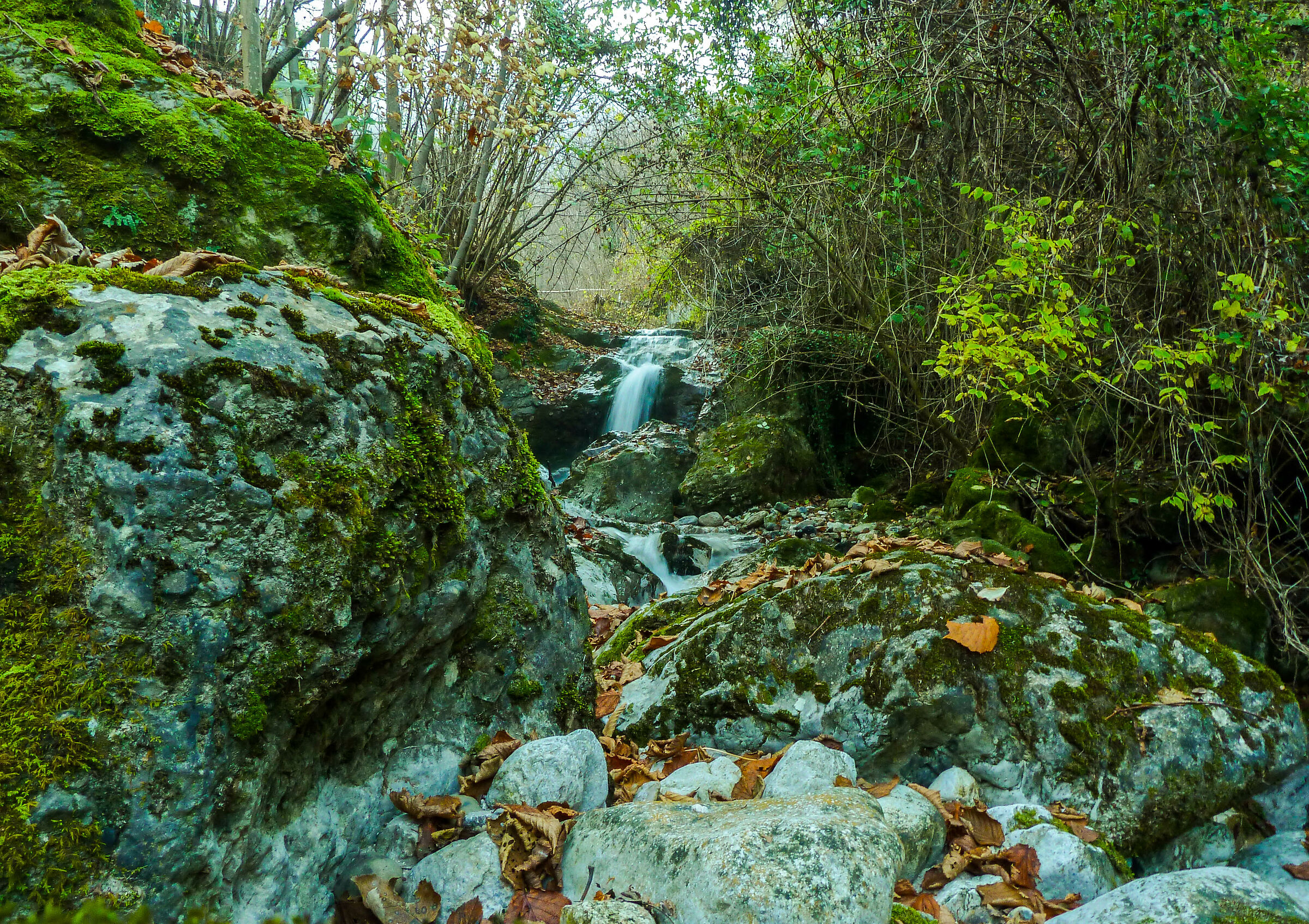Grigna Stream